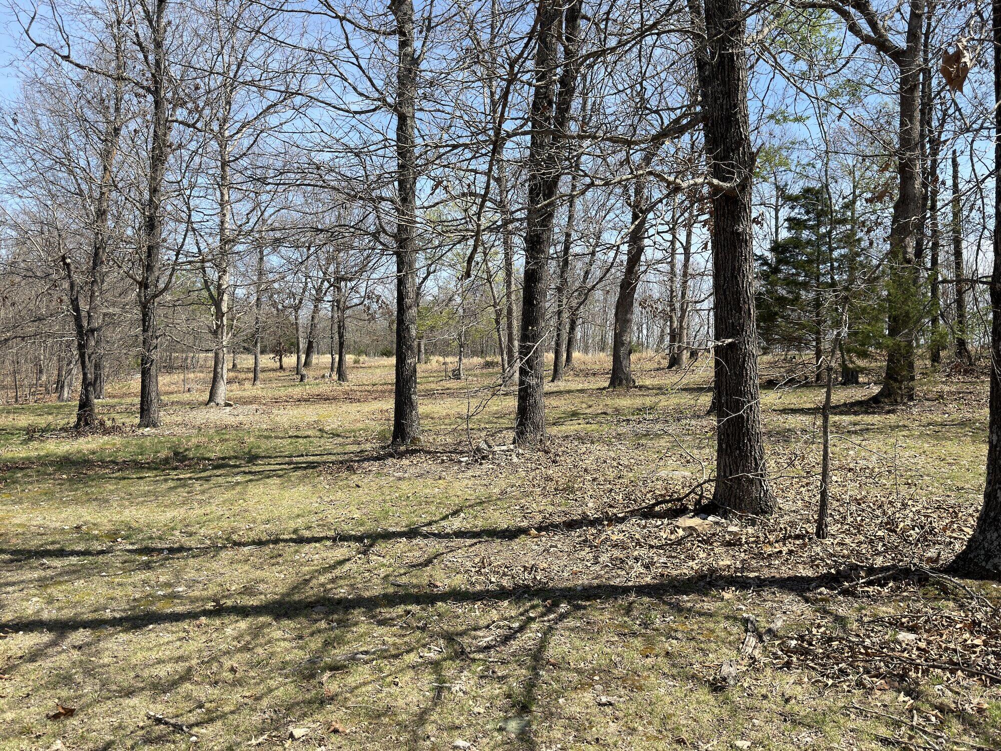 main property photo 127