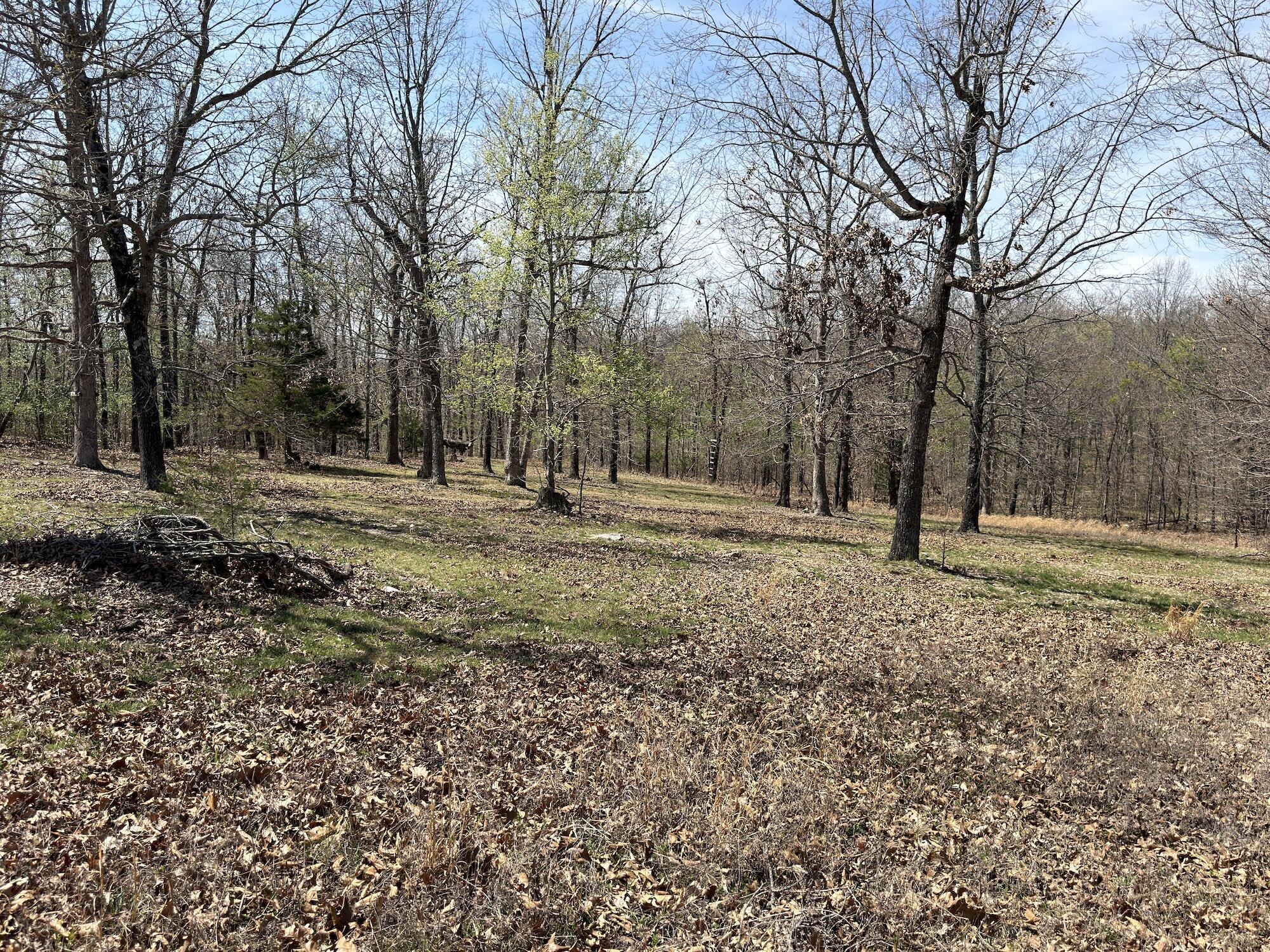 main property photo 129
