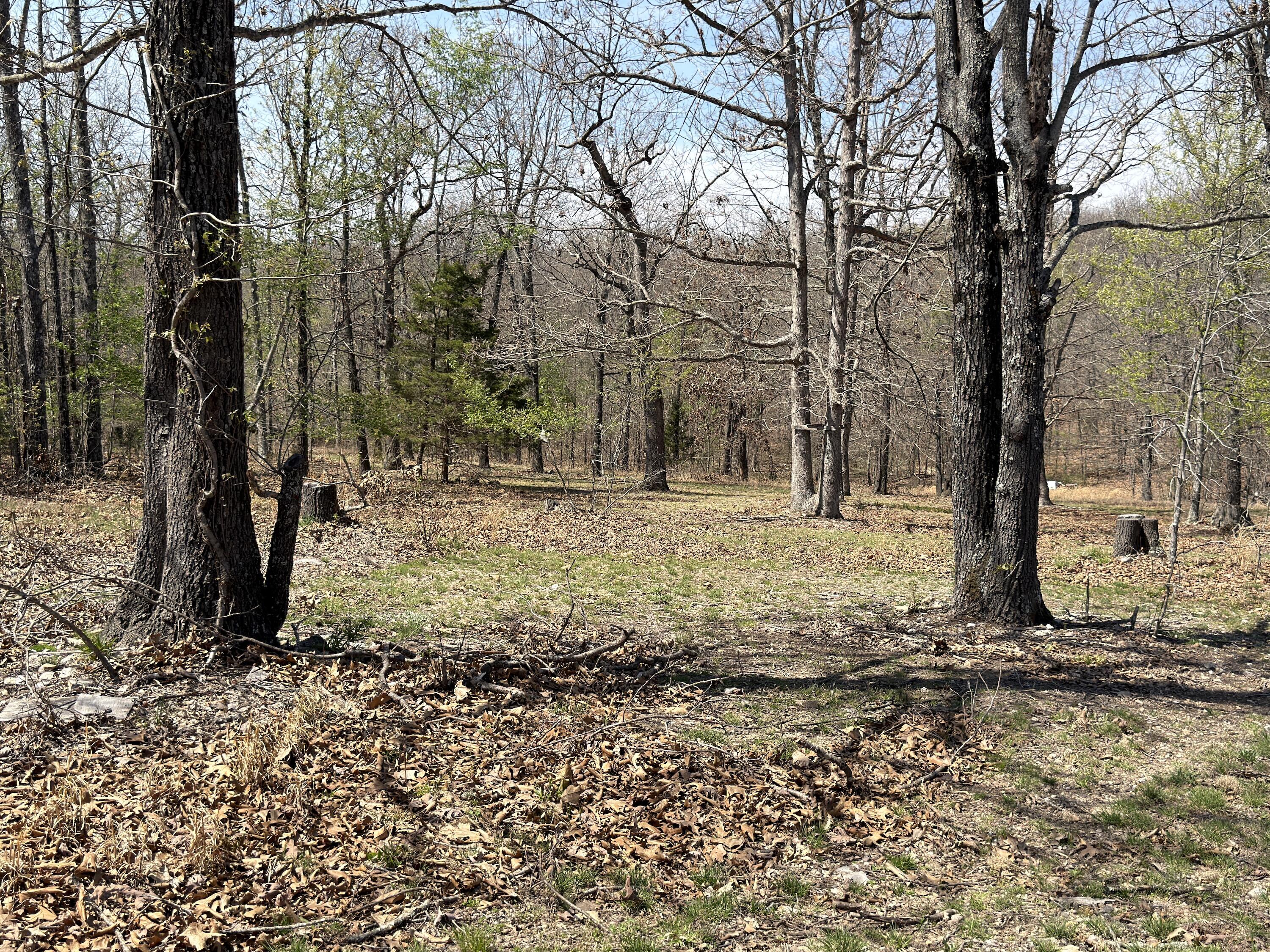 main property photo 130