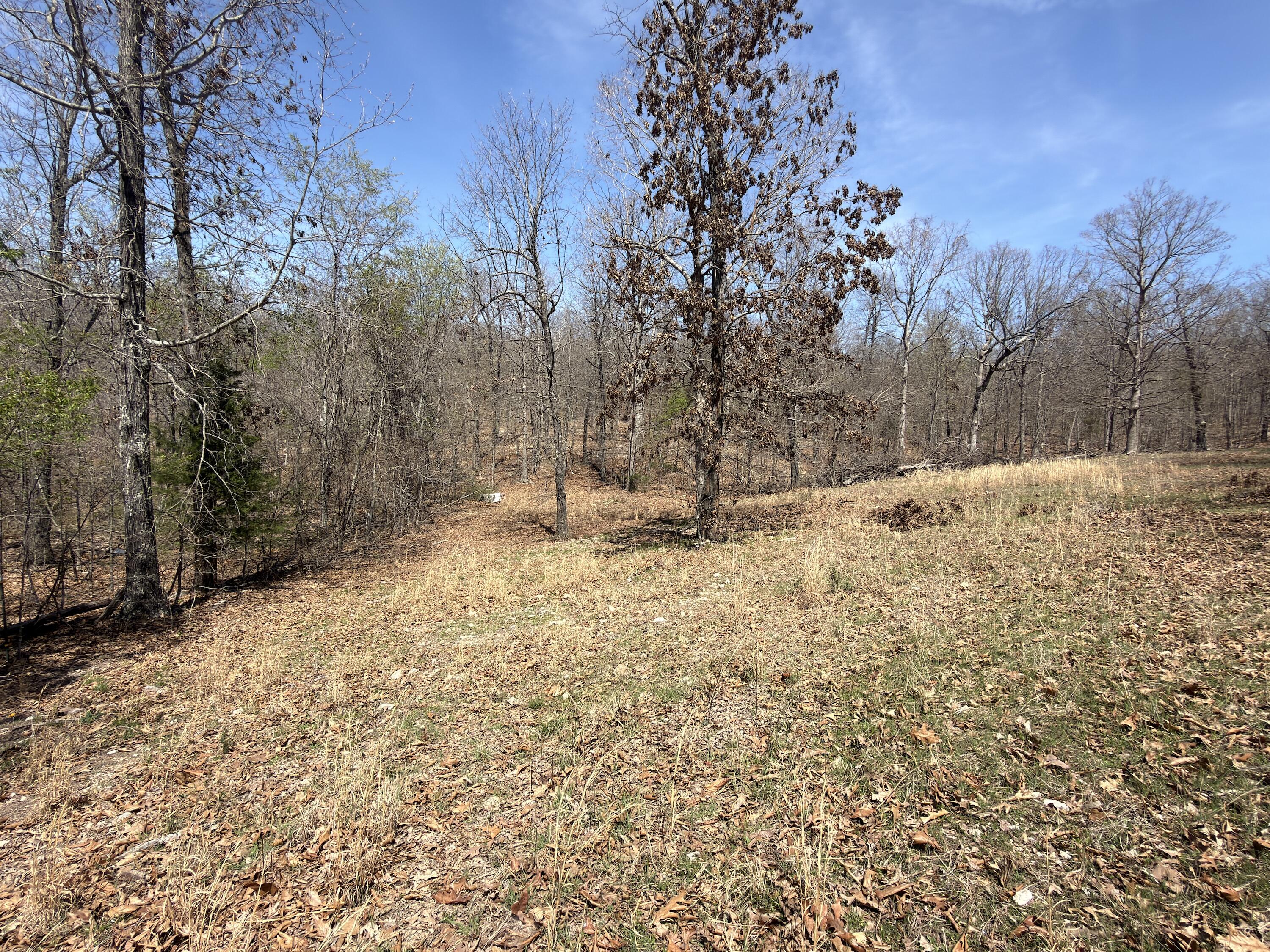 main property photo 139