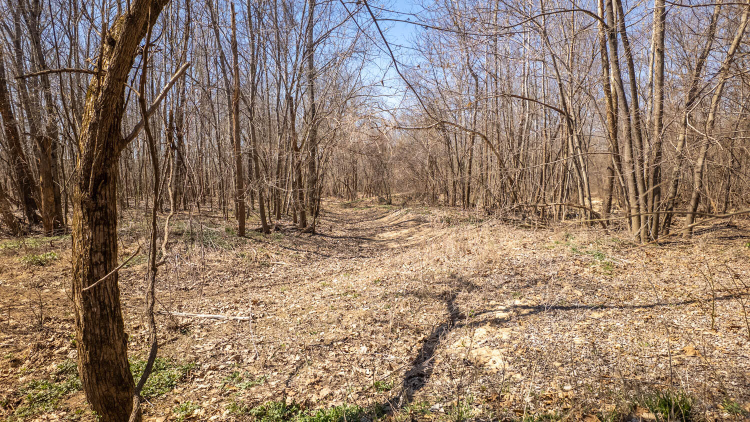 main property photo 36
