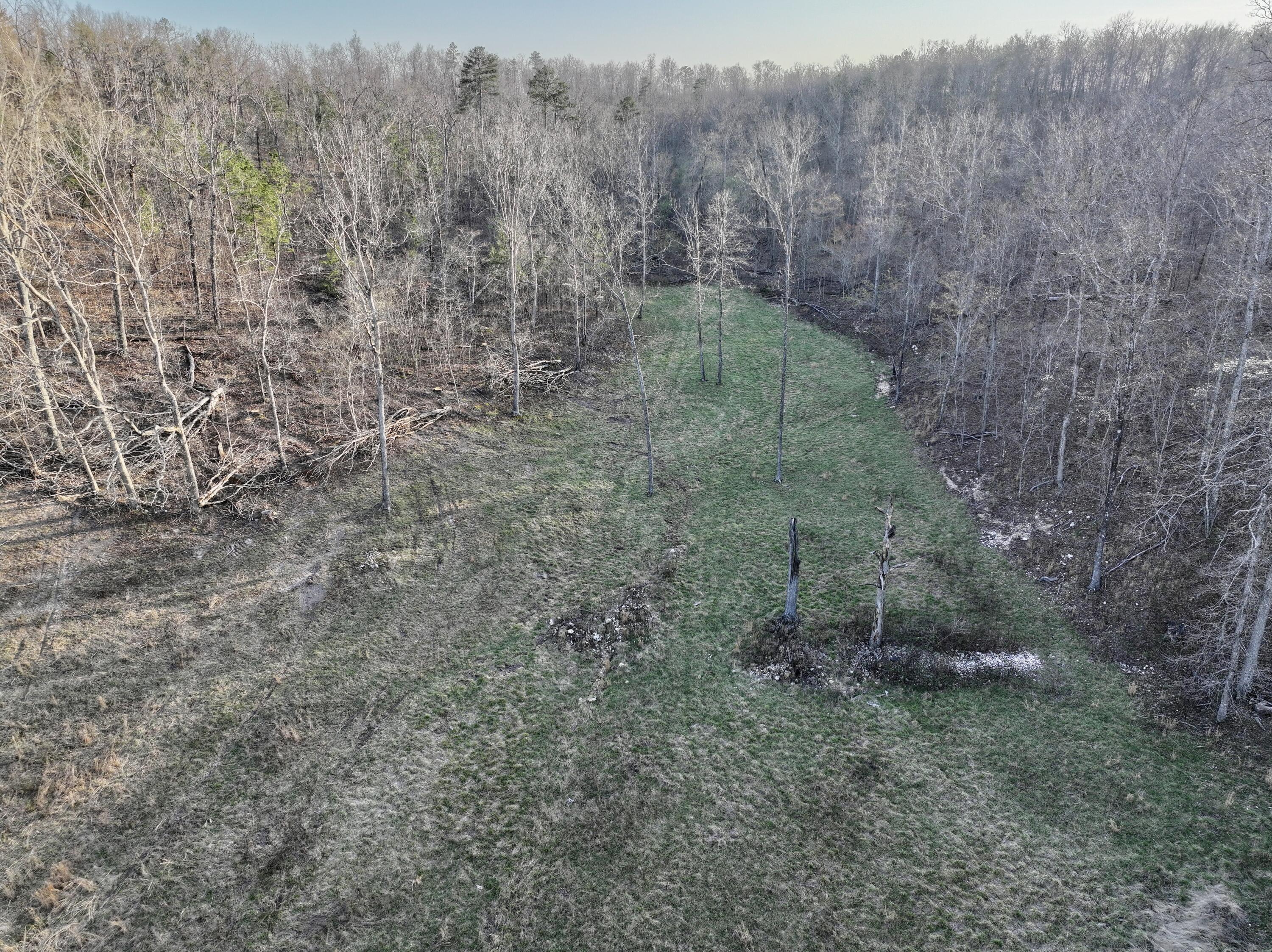 main property photo 55