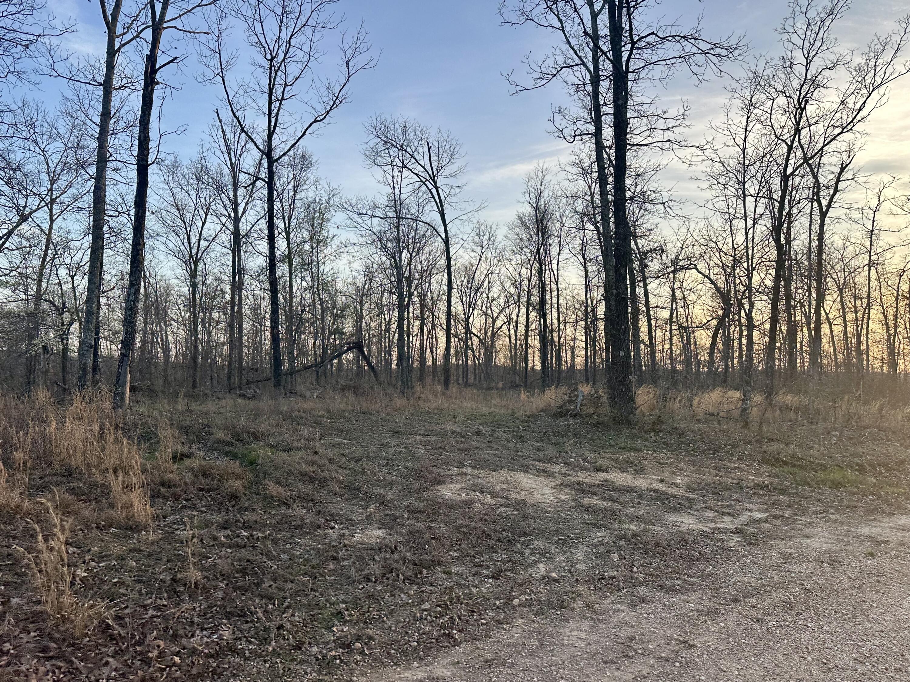 main property photo 64