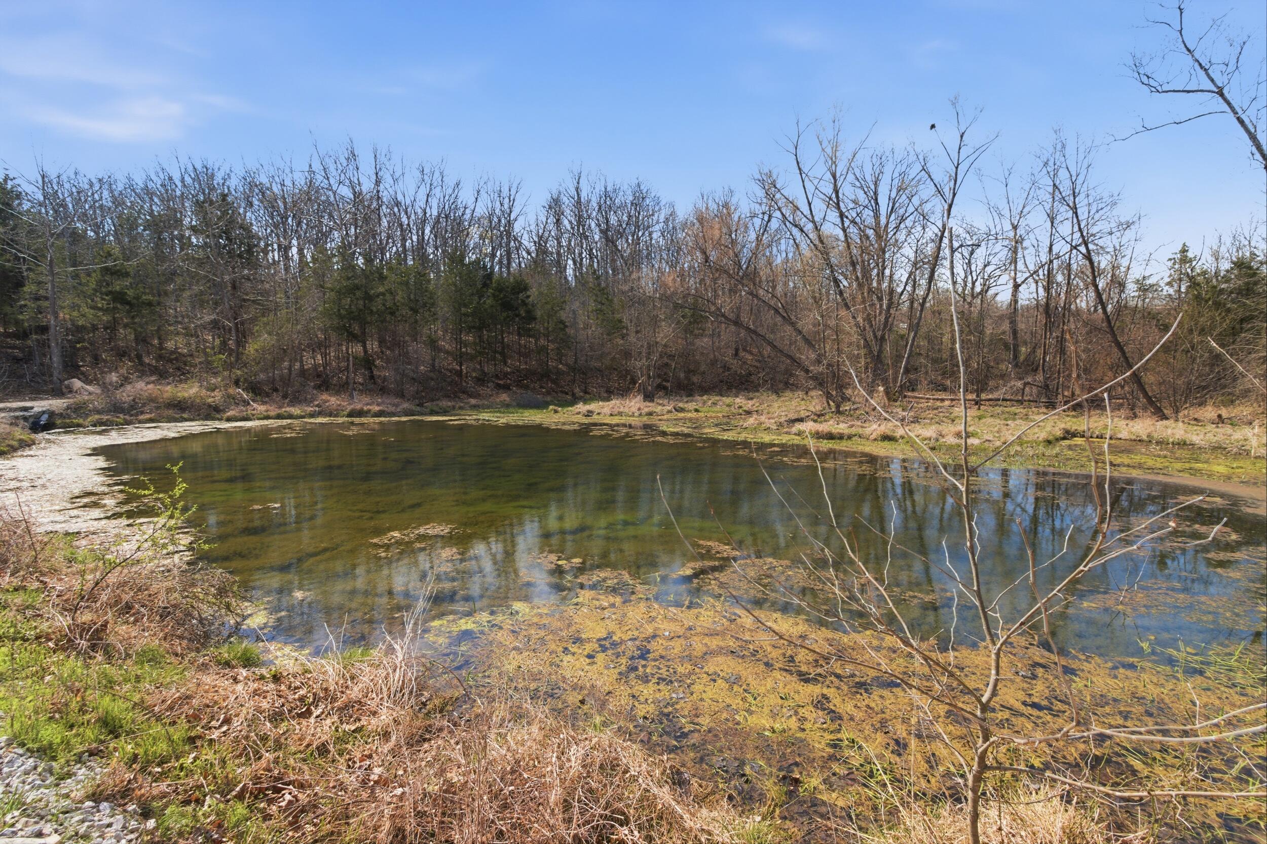 main property photo 14
