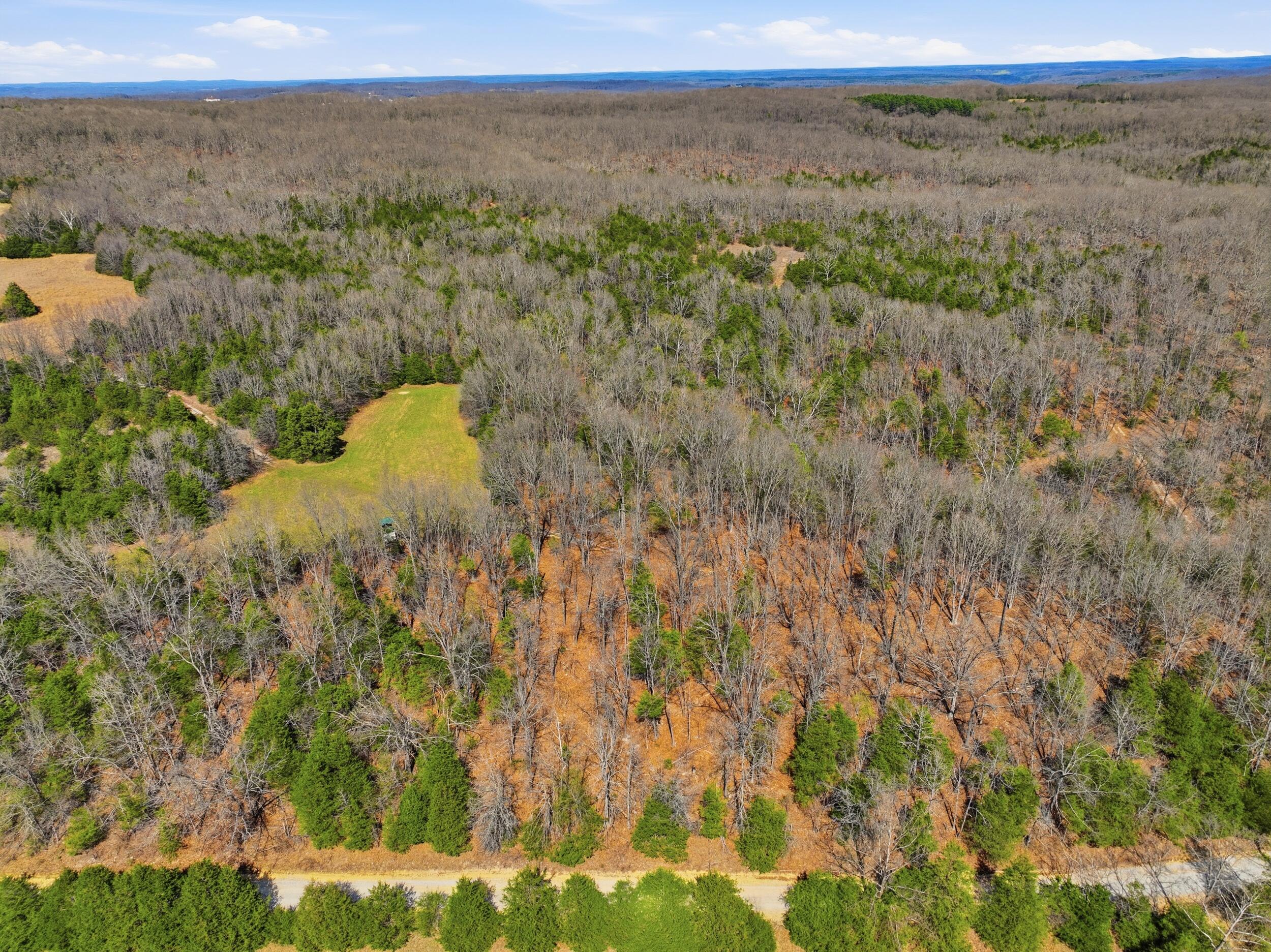 main property photo 37