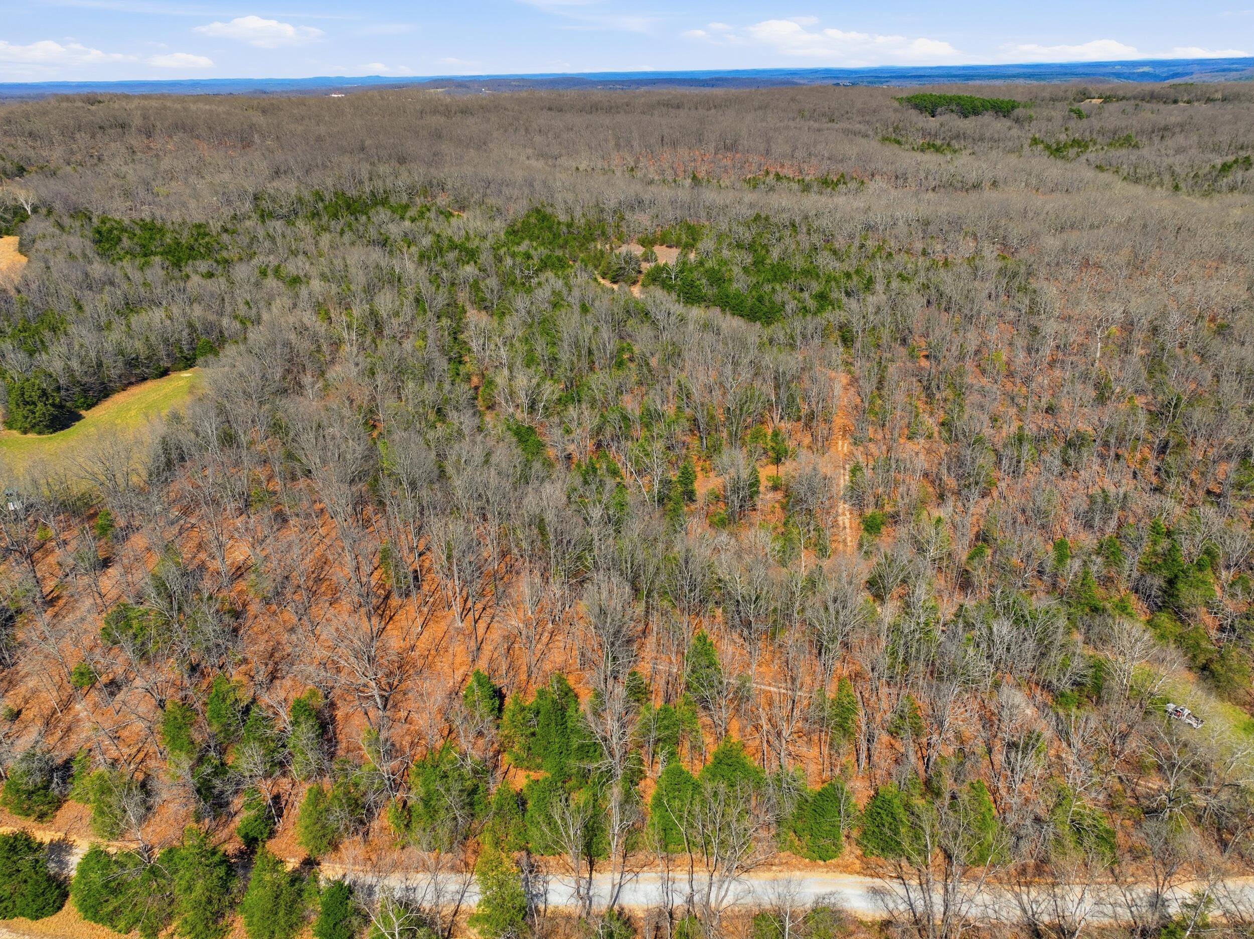 main property photo 38