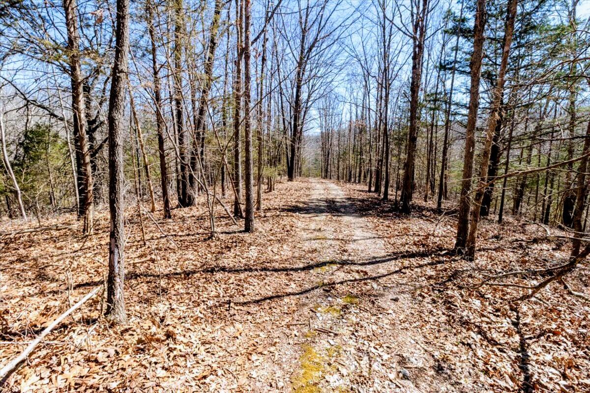main property photo 56