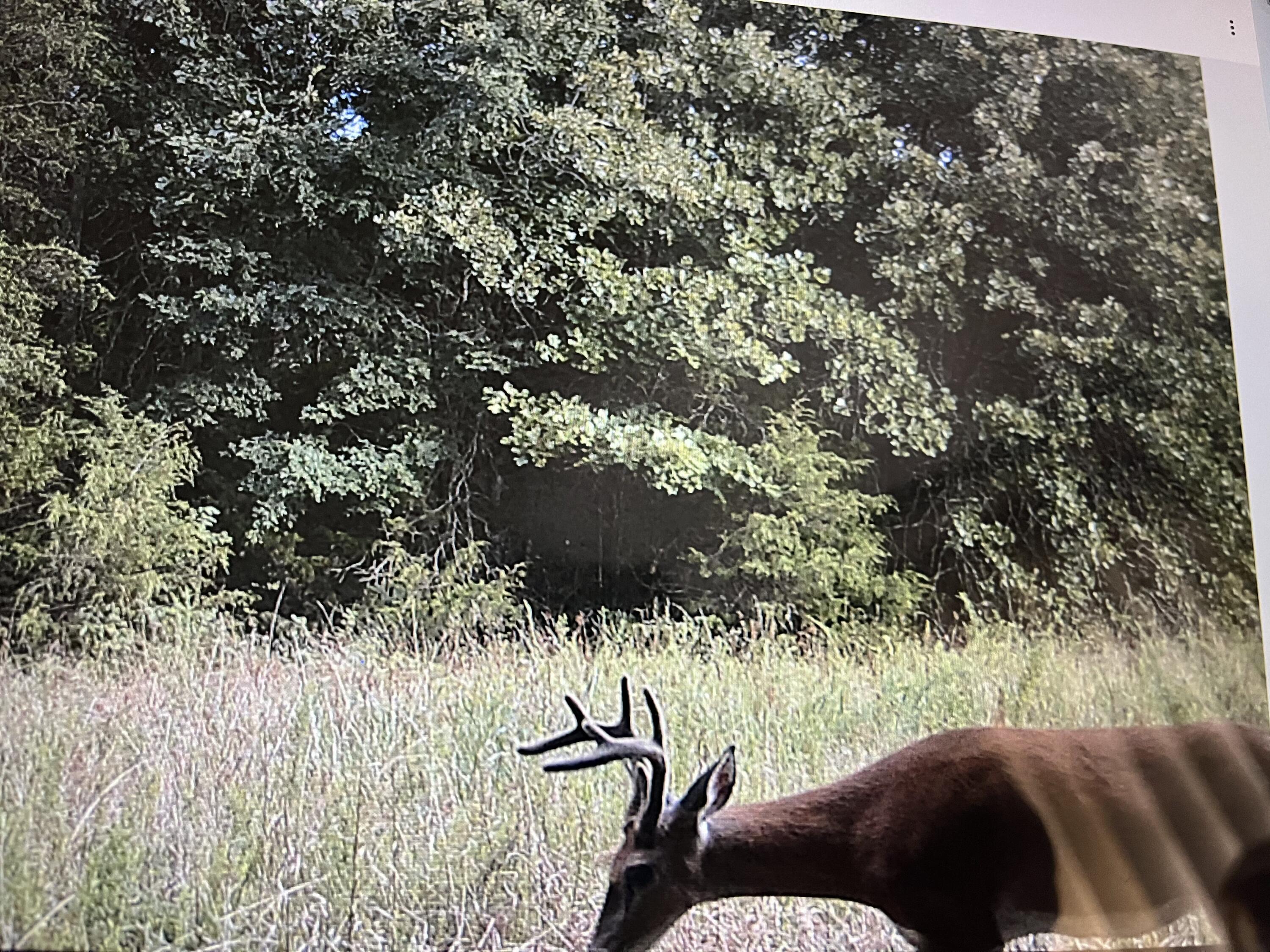 main property photo 58