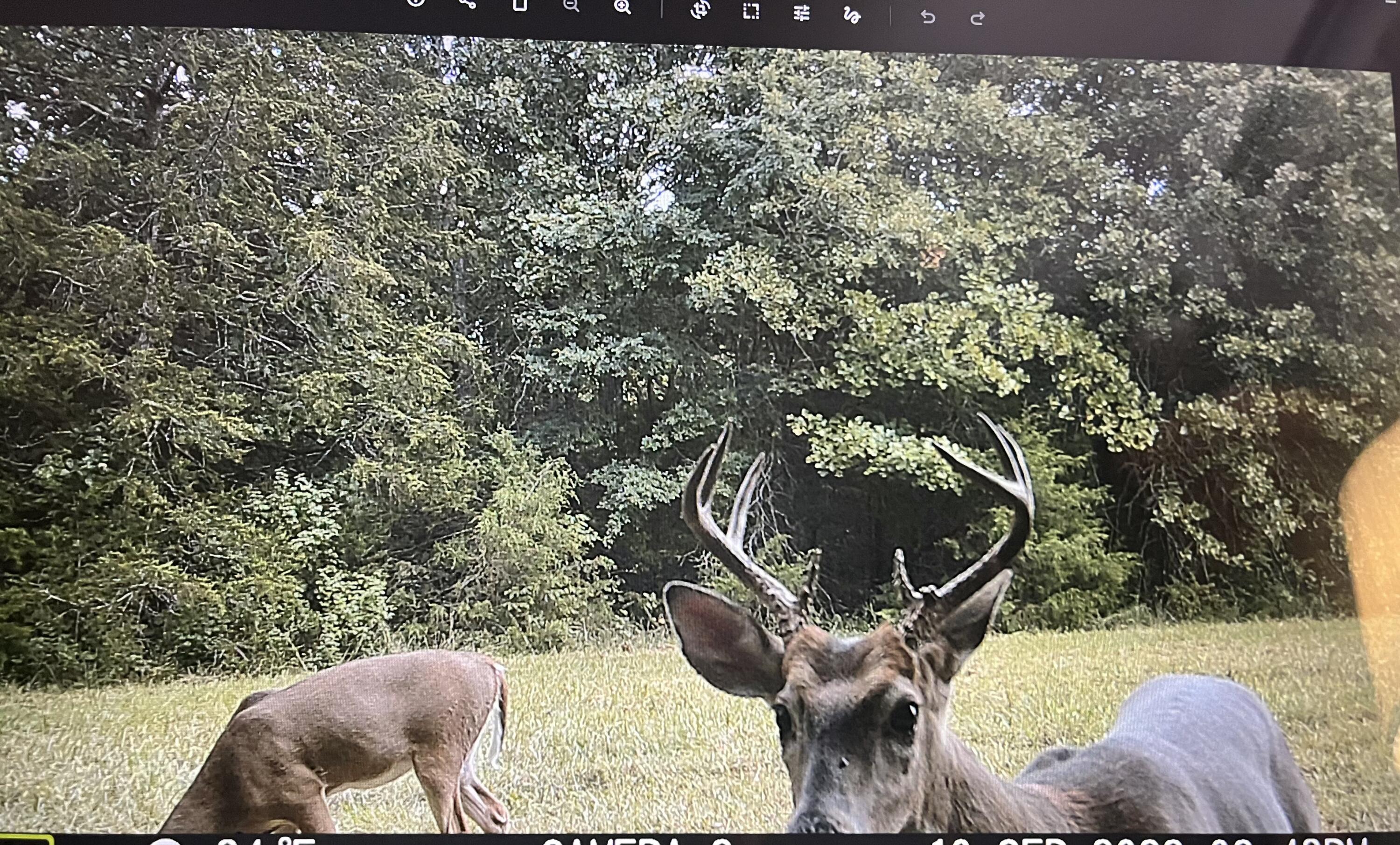 main property photo 59