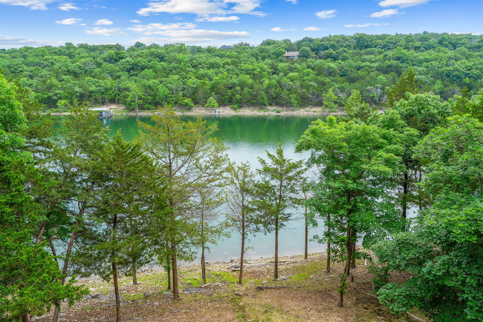 main property photo 41