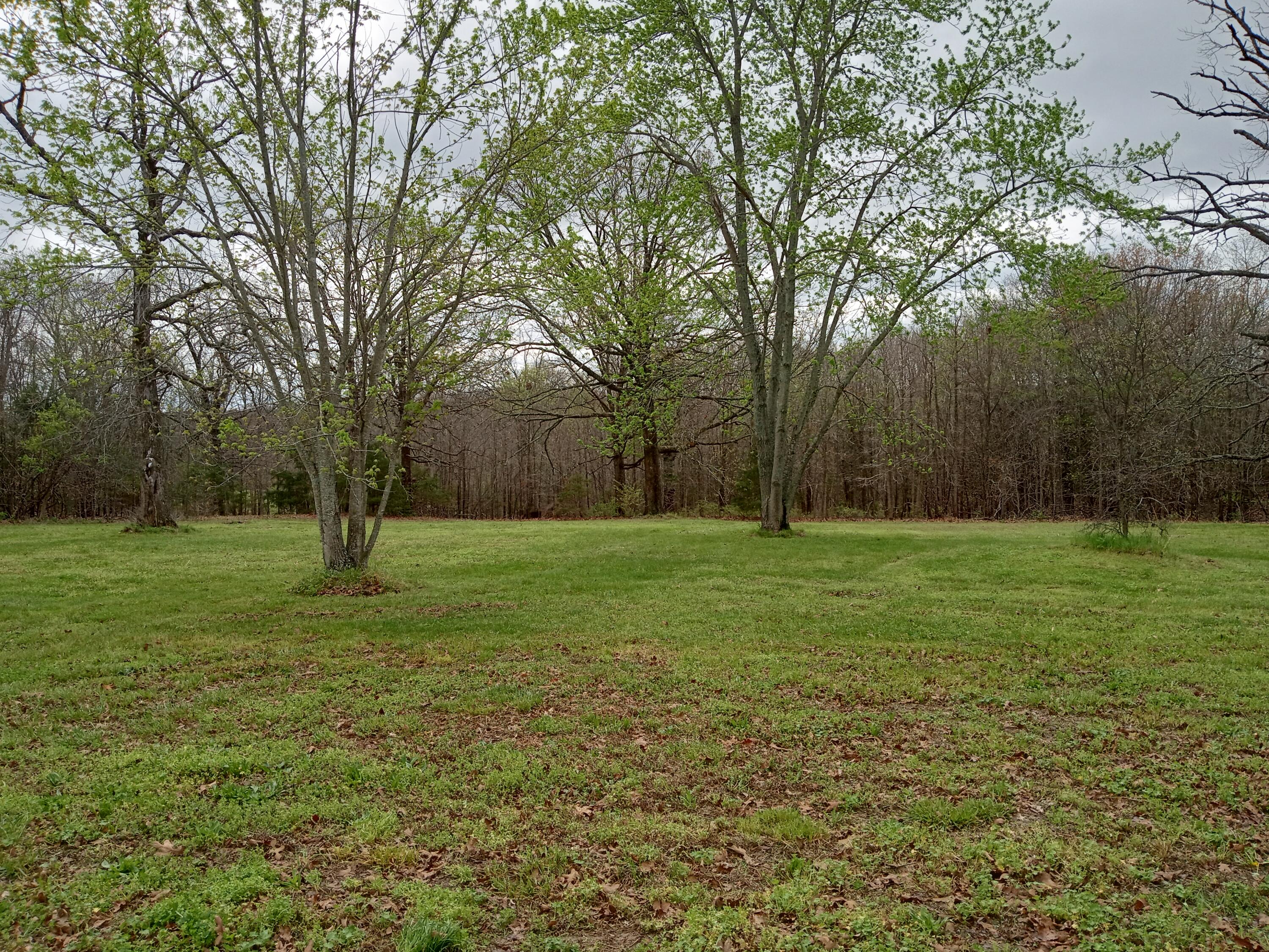 main property photo 13
