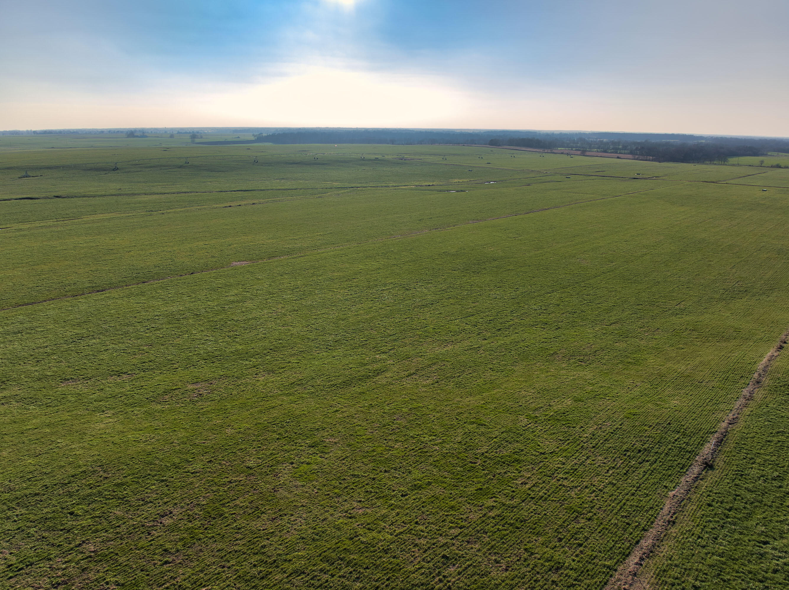 main property photo 54