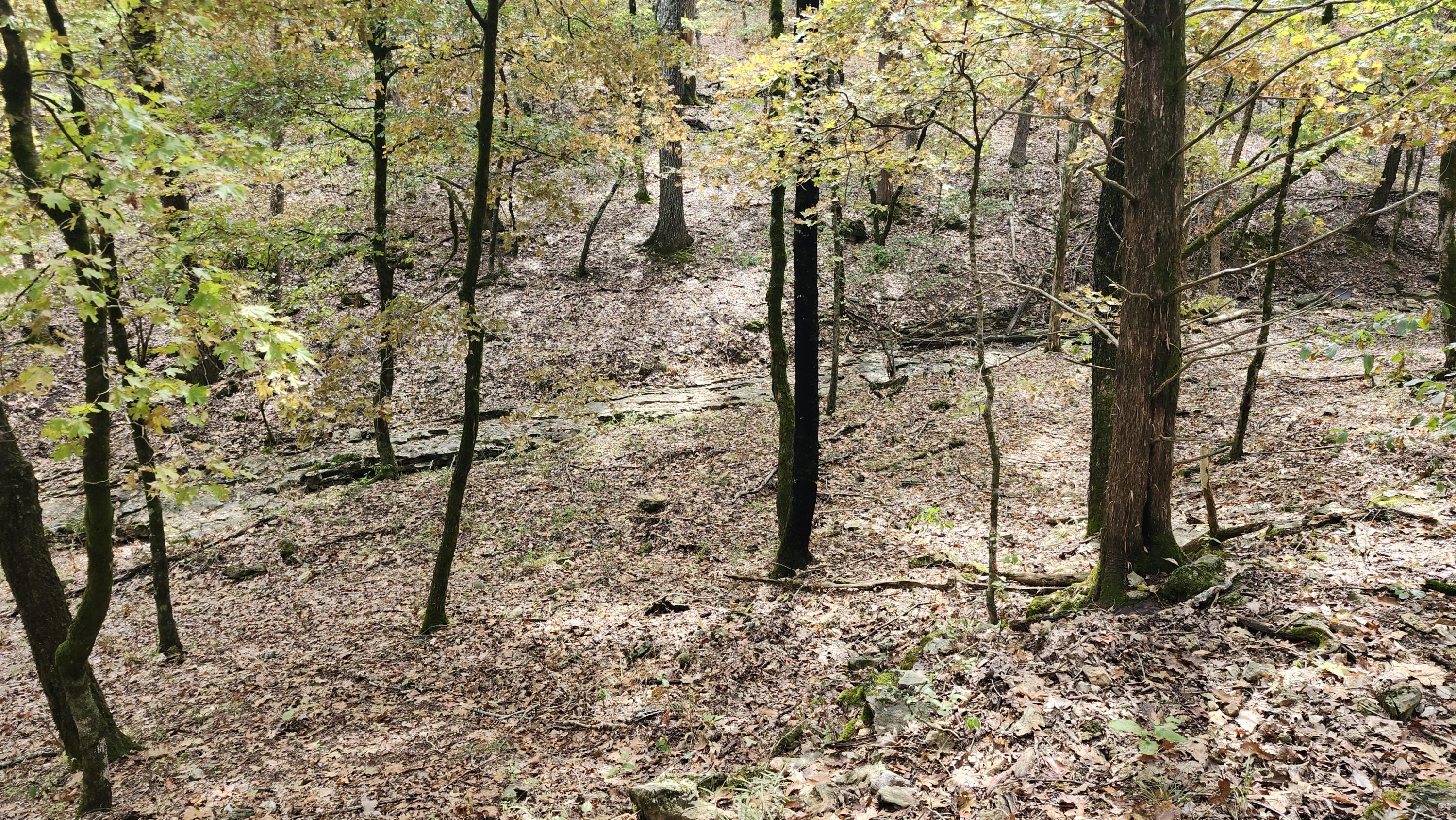 main property photo 22