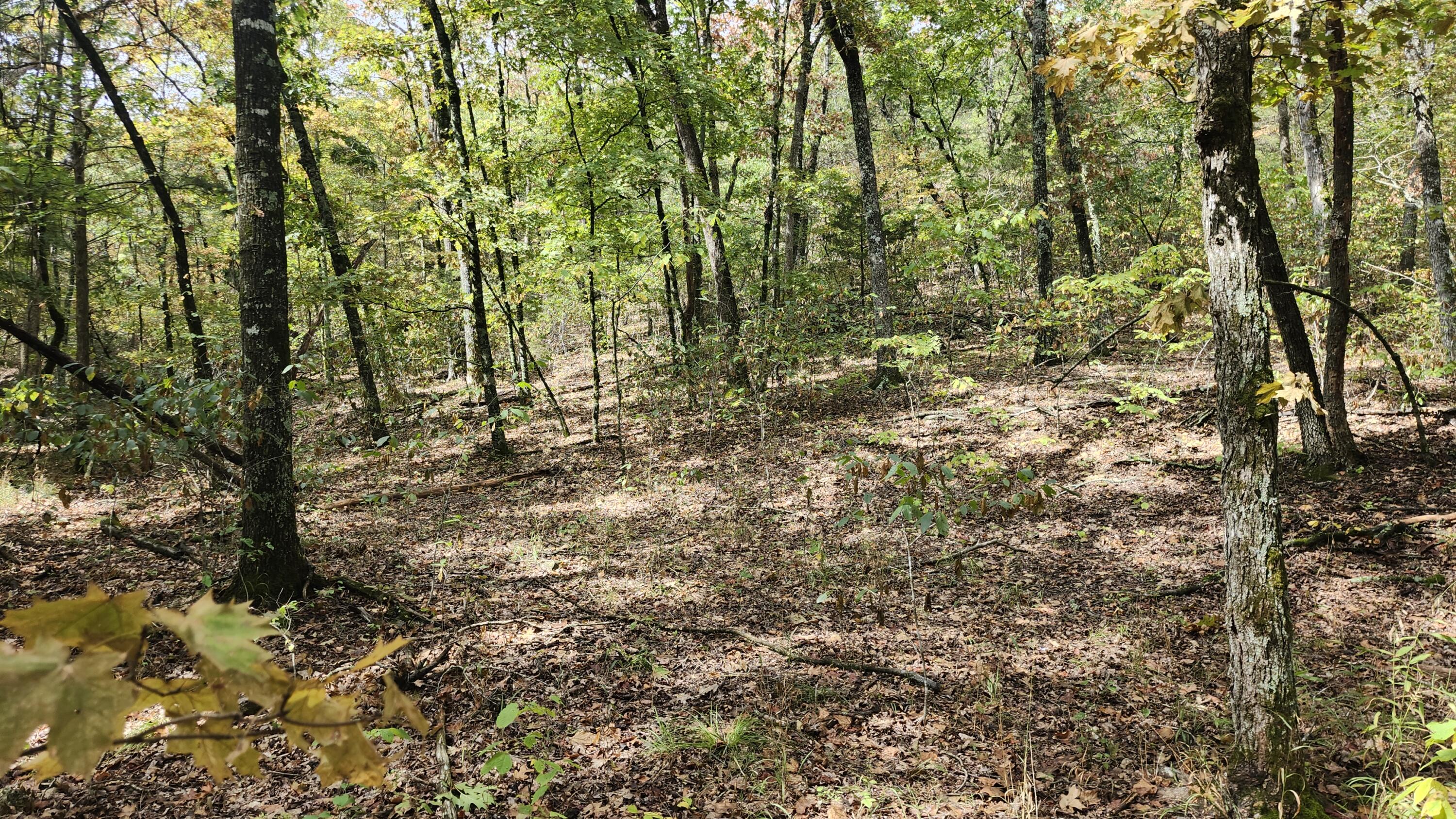 main property photo 28