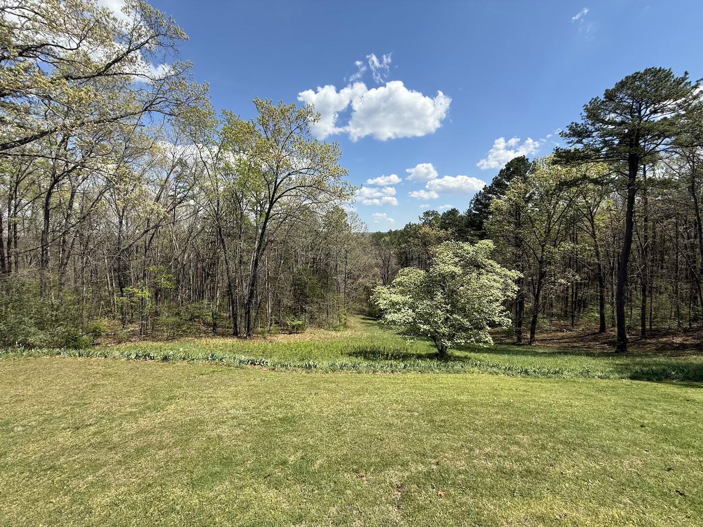 main property photo 11