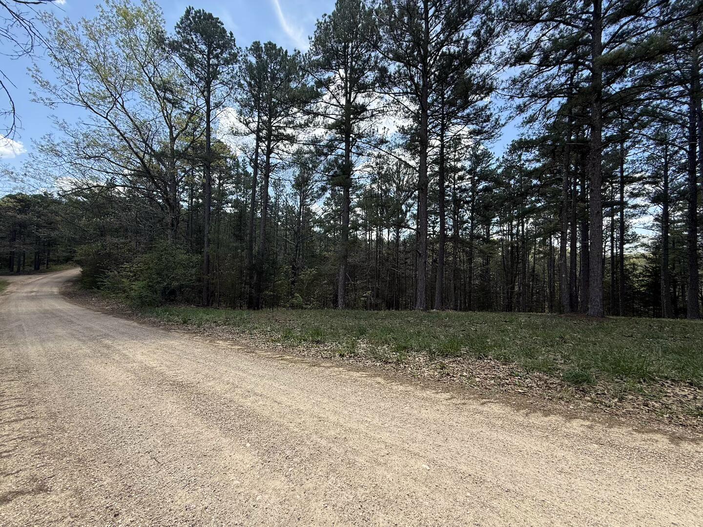 main property photo 37
