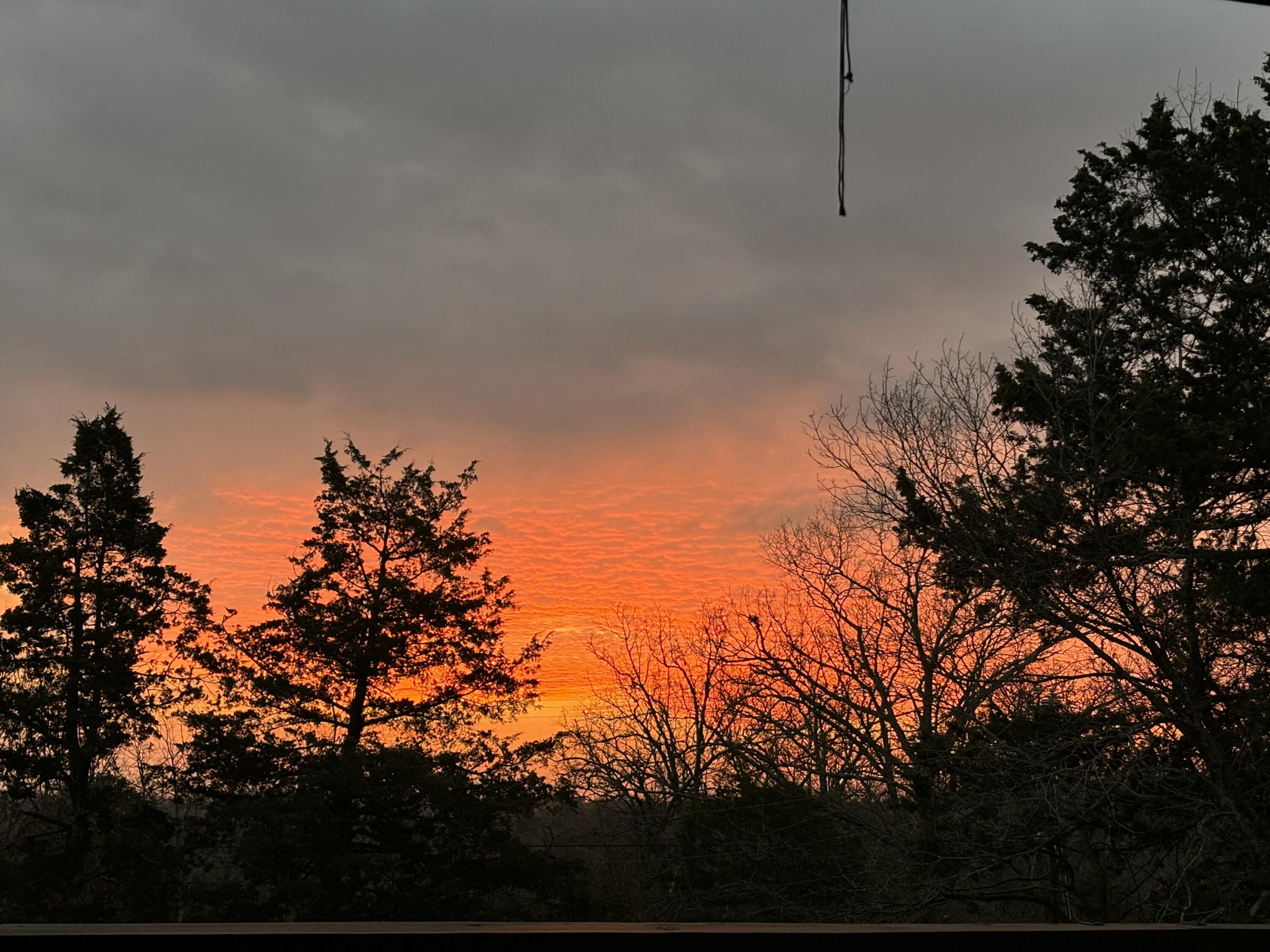 main property photo 58