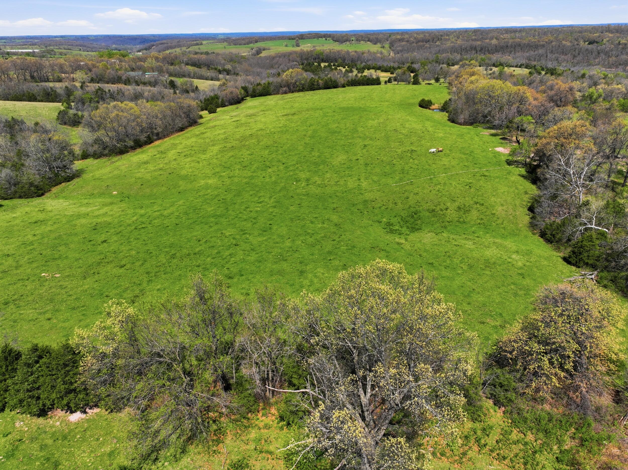 main property photo 53