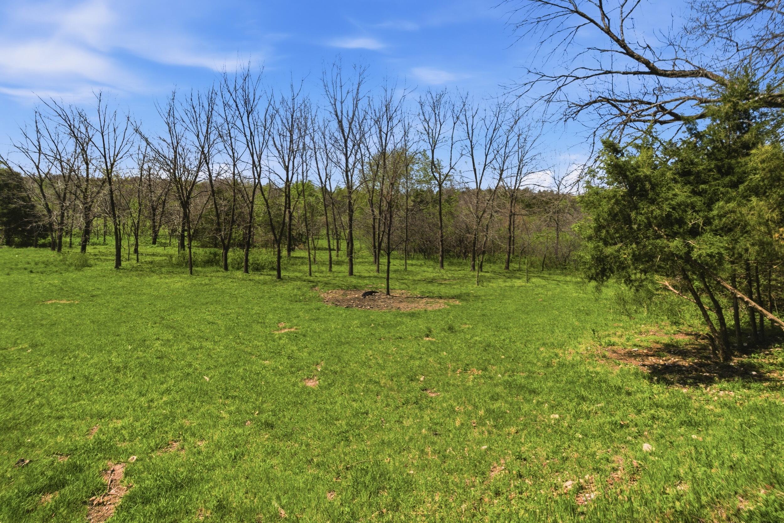 main property photo 65