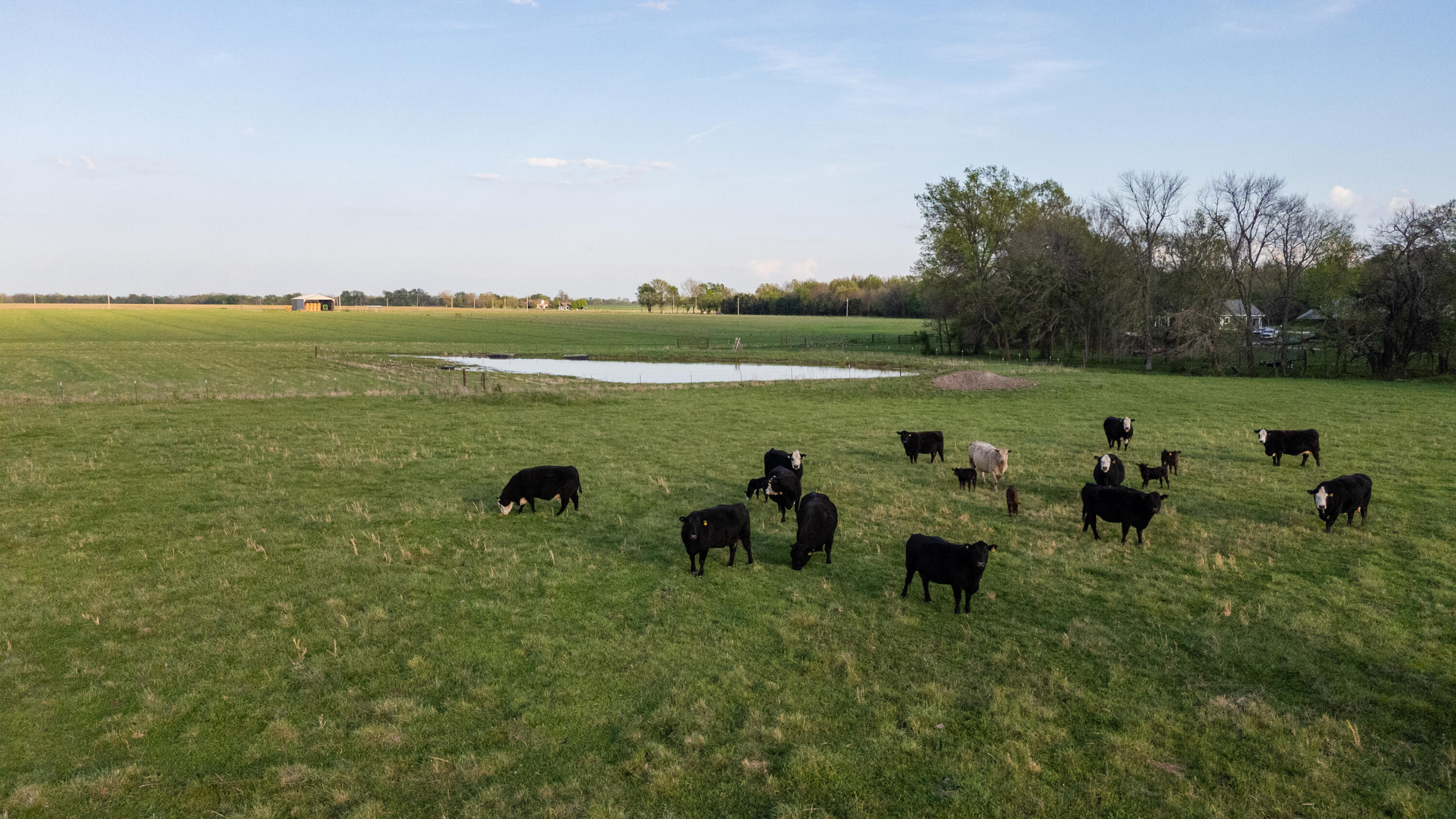 main property photo 55