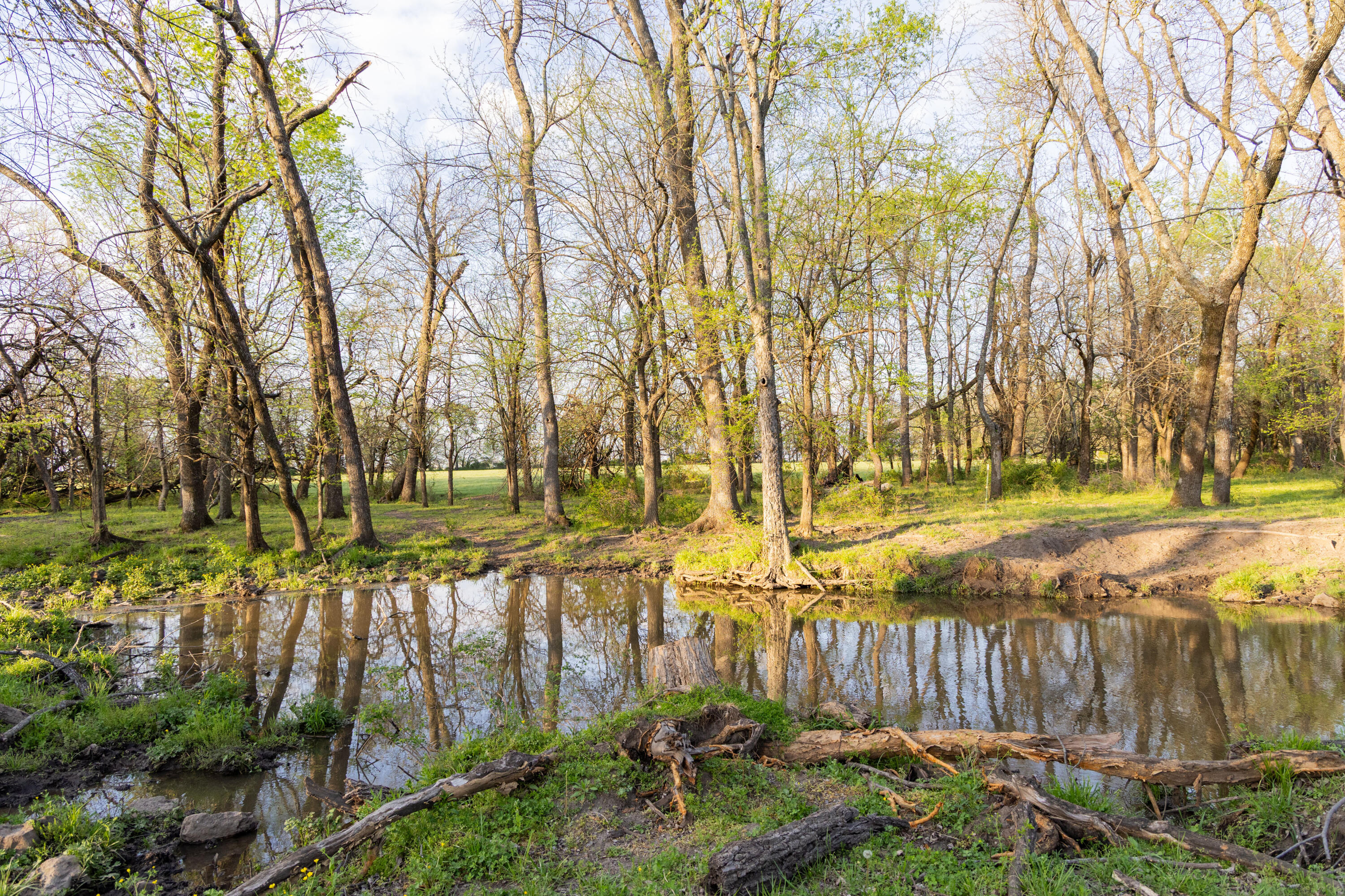 main property photo 65