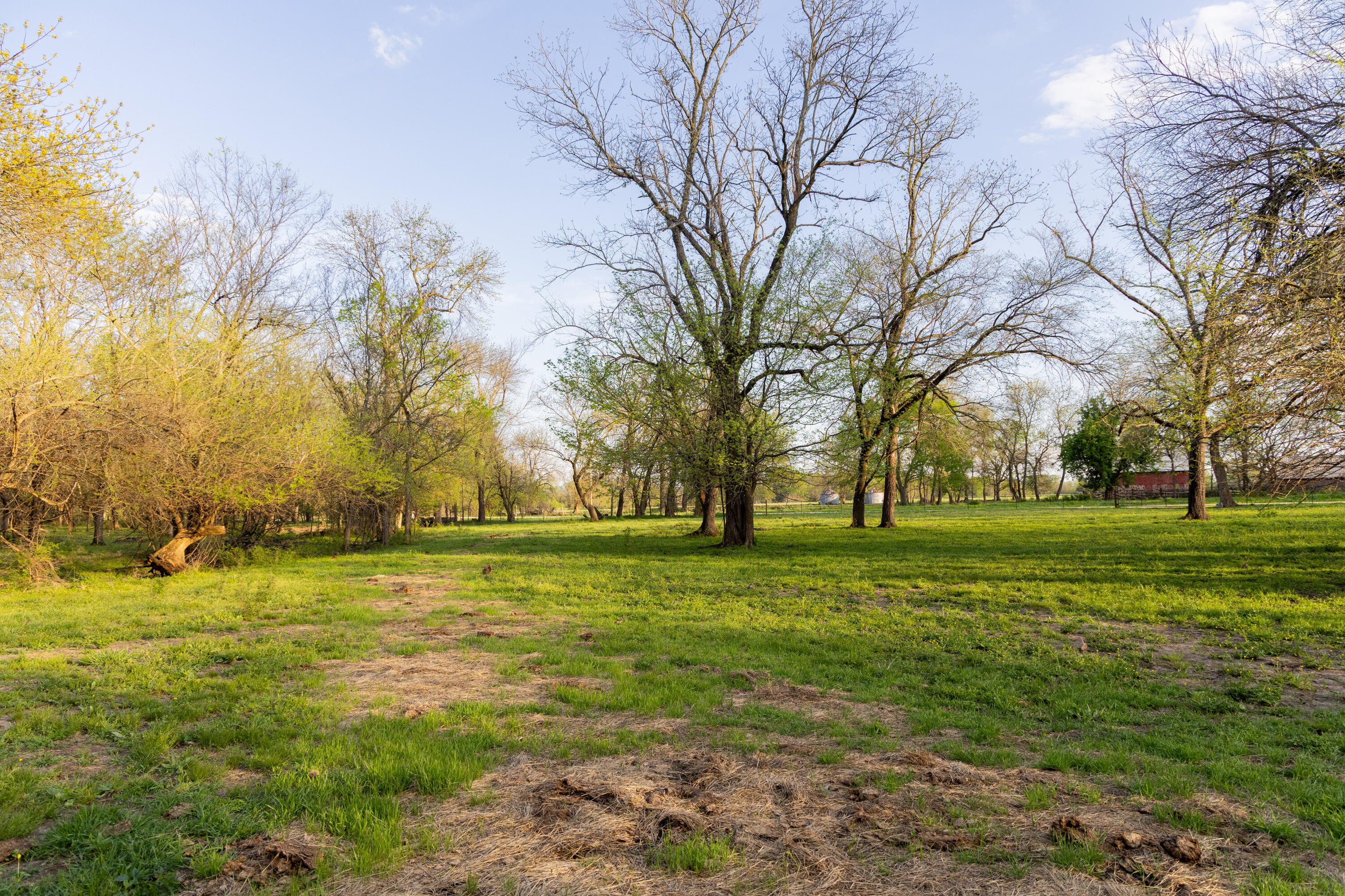 main property photo 68