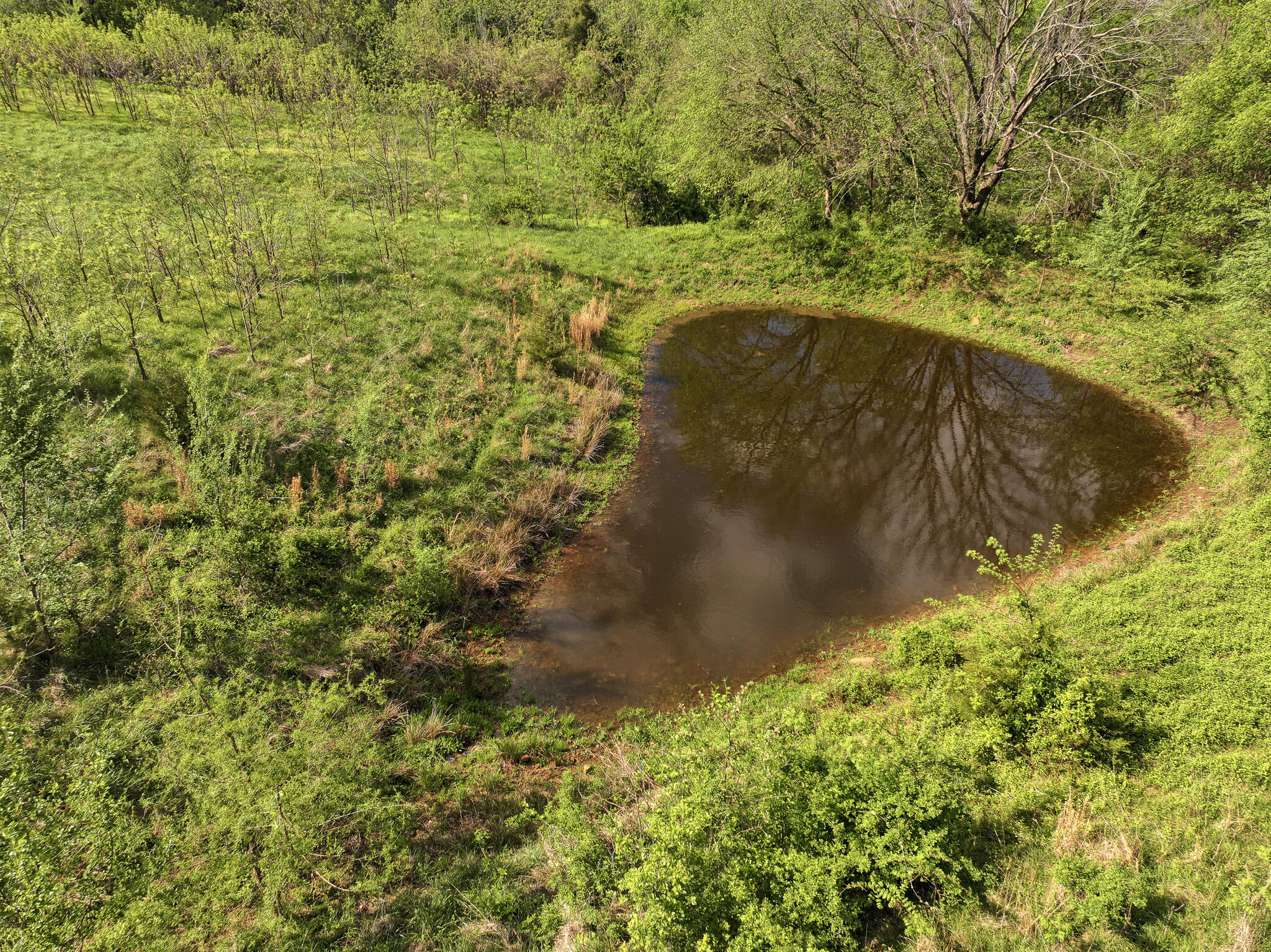 main property photo 45