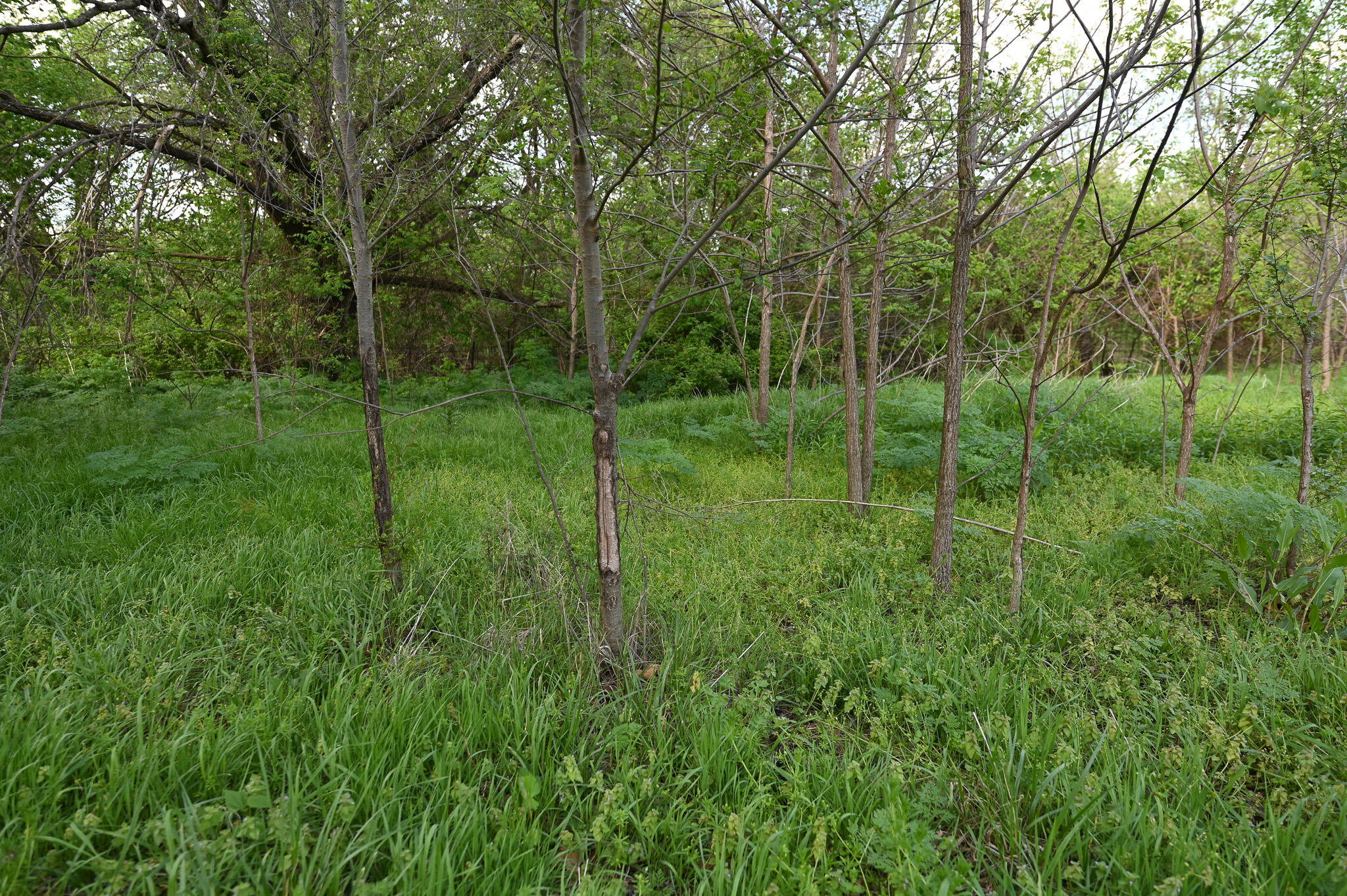 main property photo 53