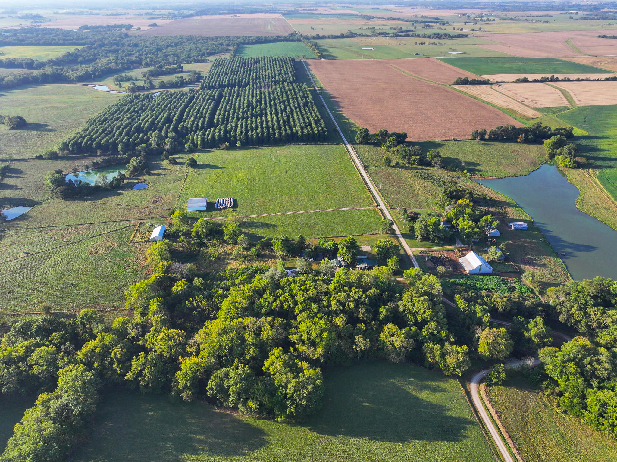 main property photo 7