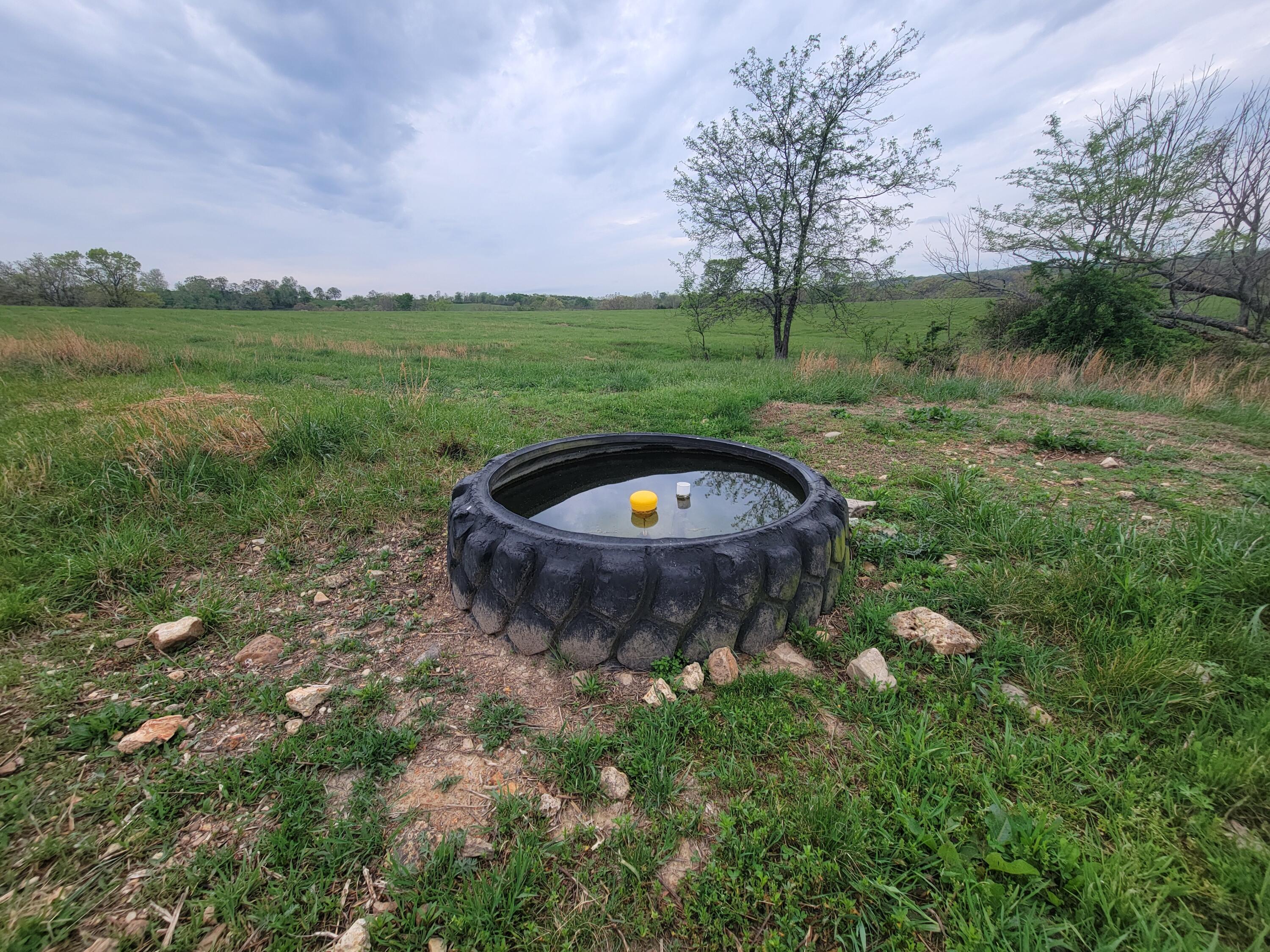 main property photo 55
