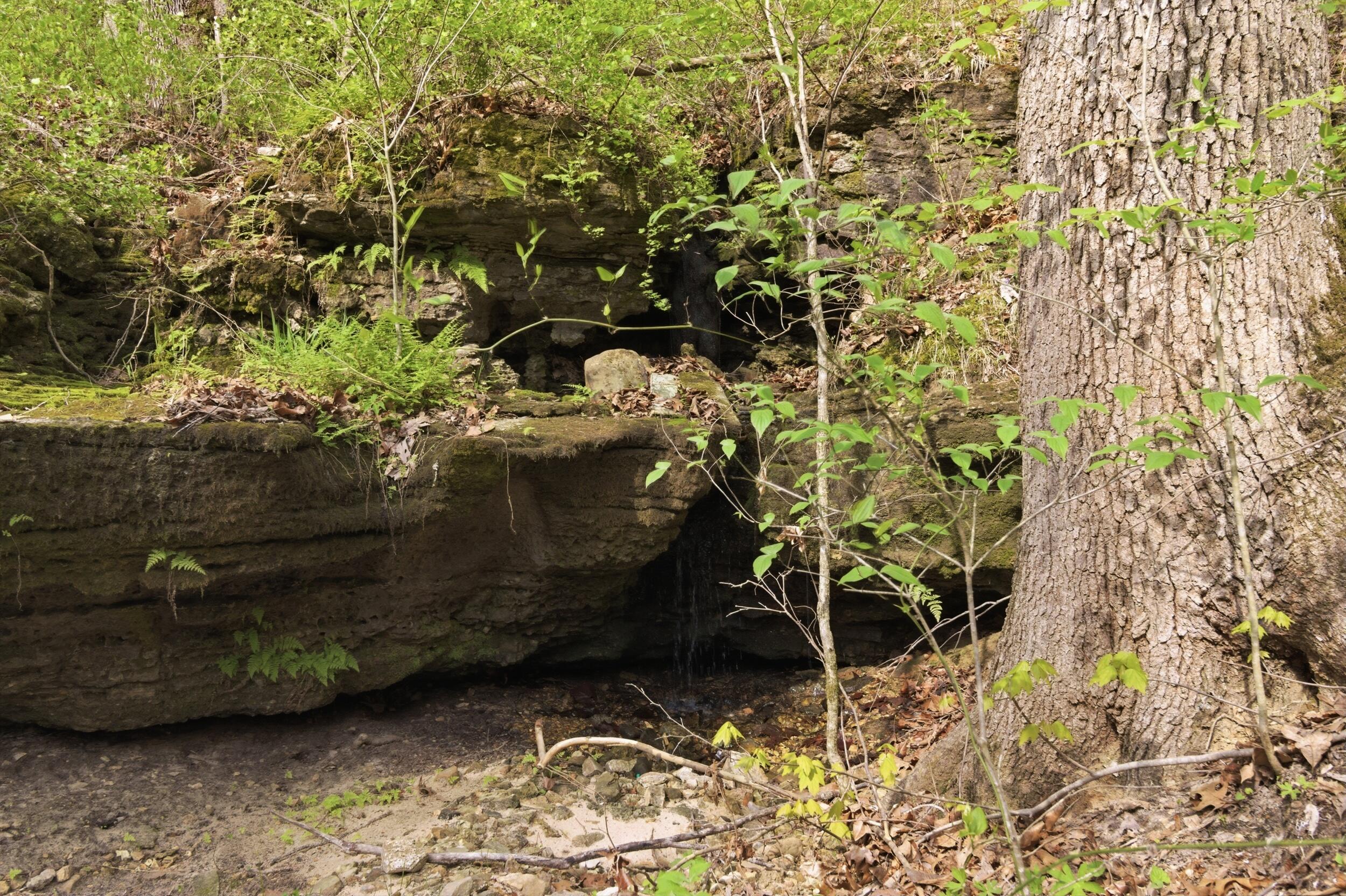 main property photo 19
