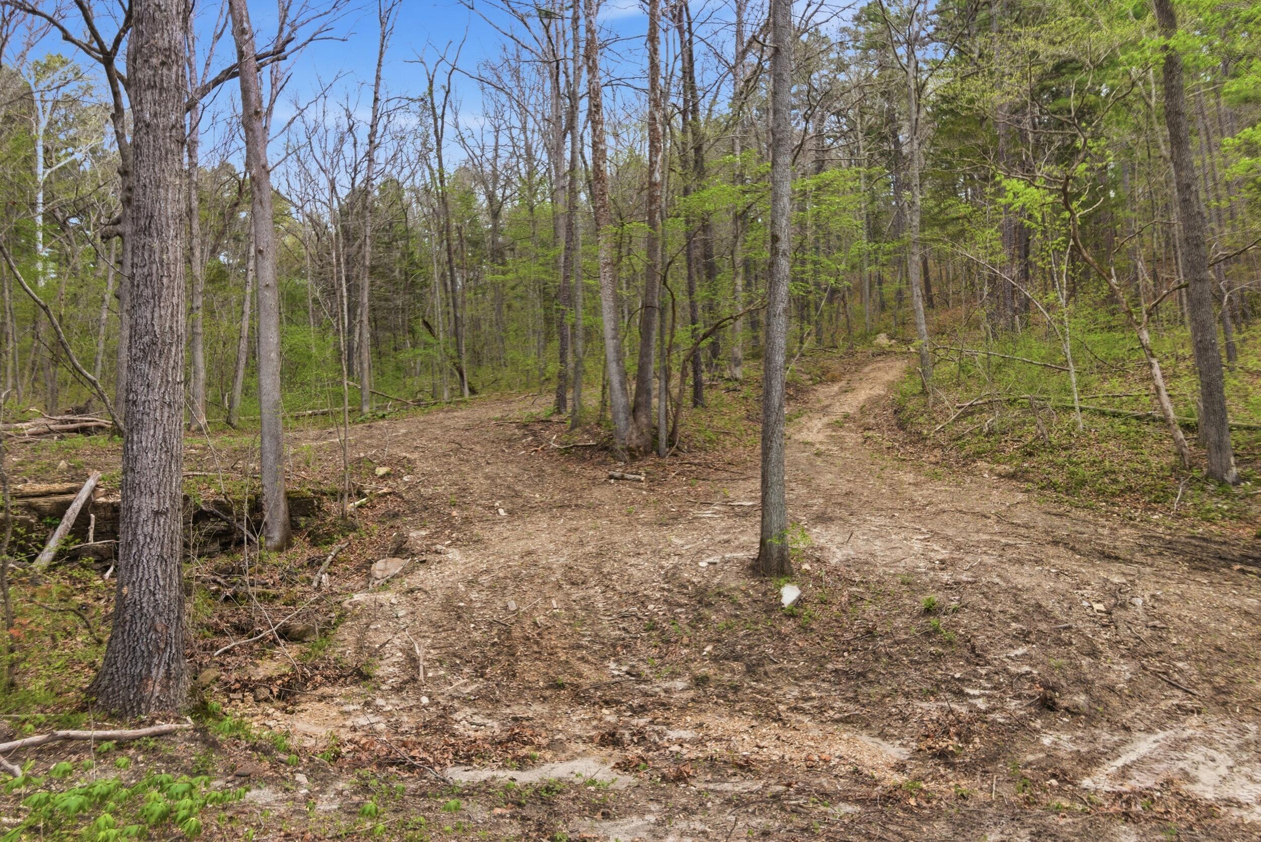 main property photo 21