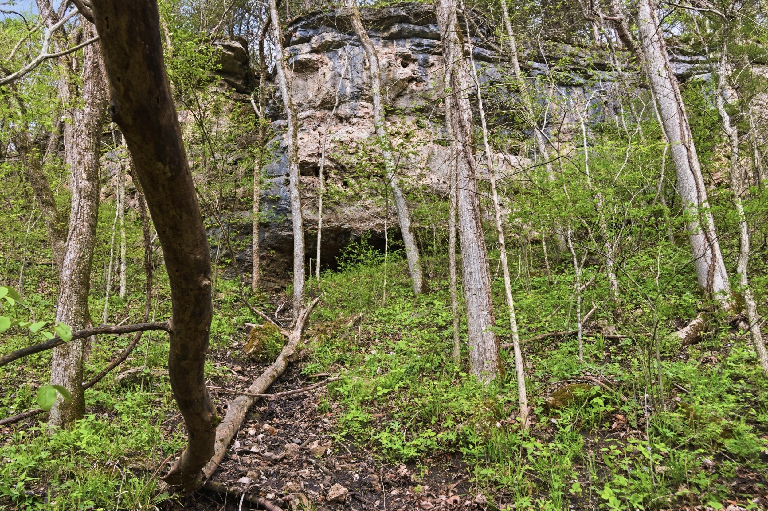 main property photo 51