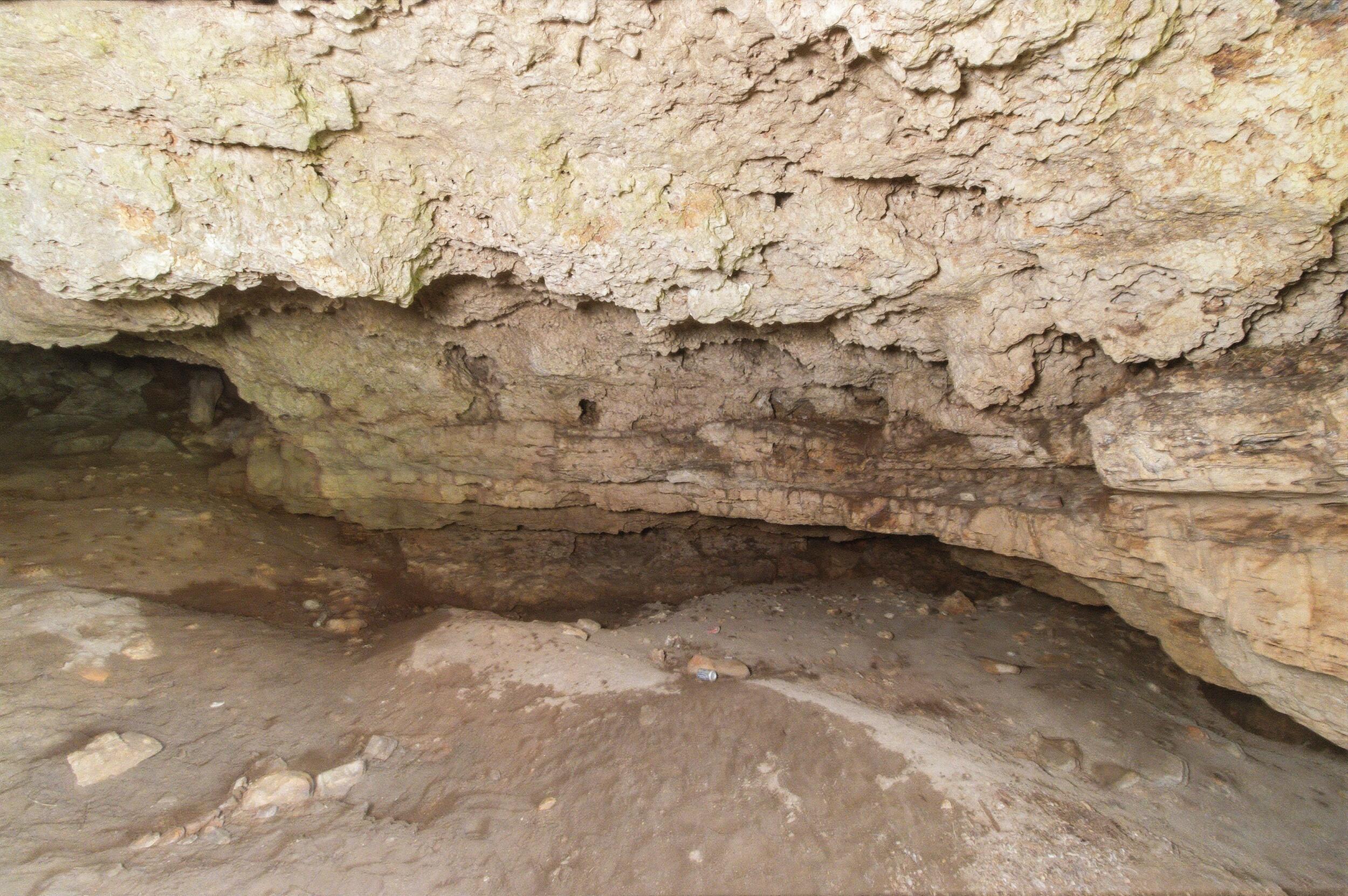 main property photo 55