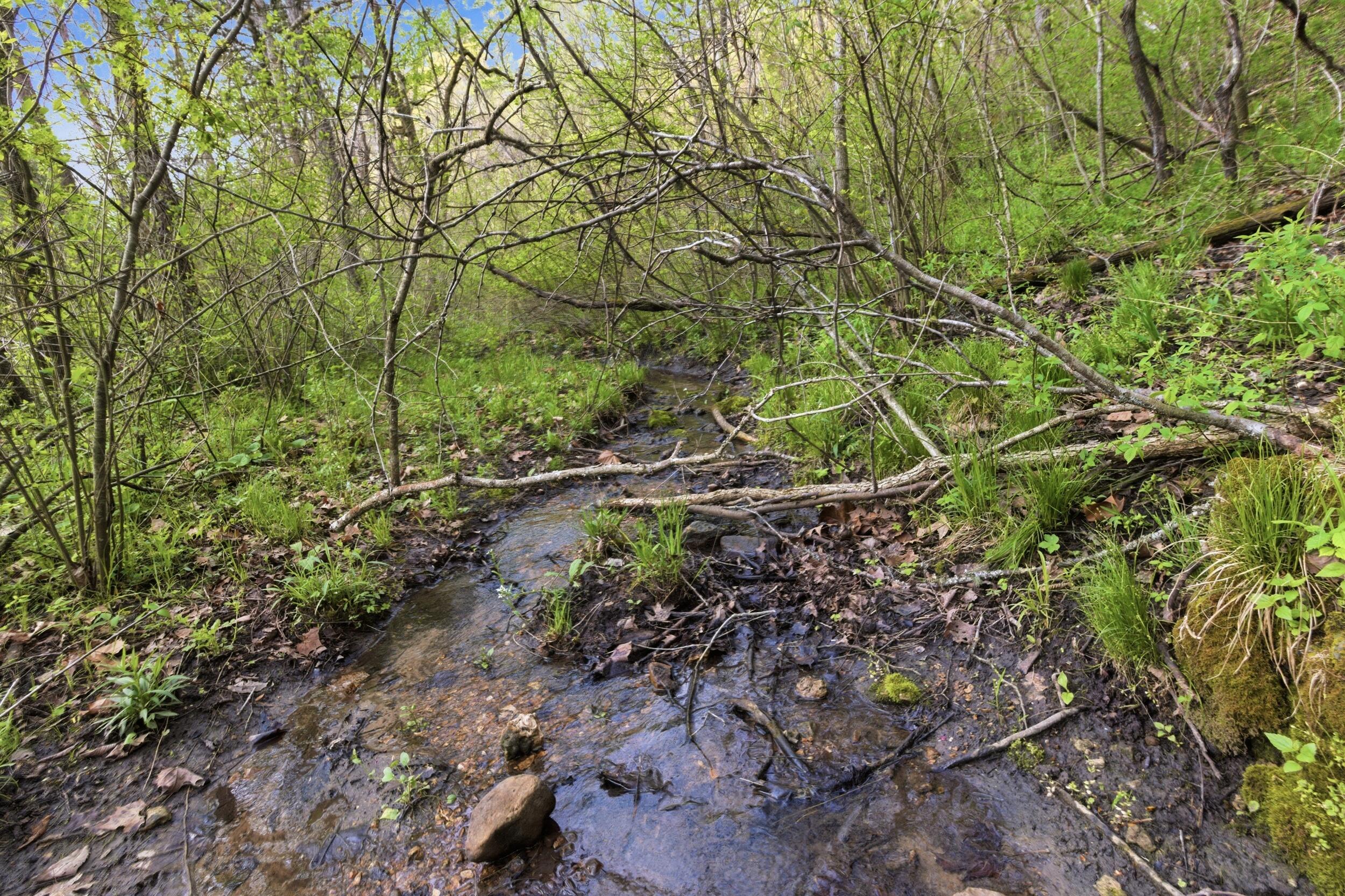 main property photo 64