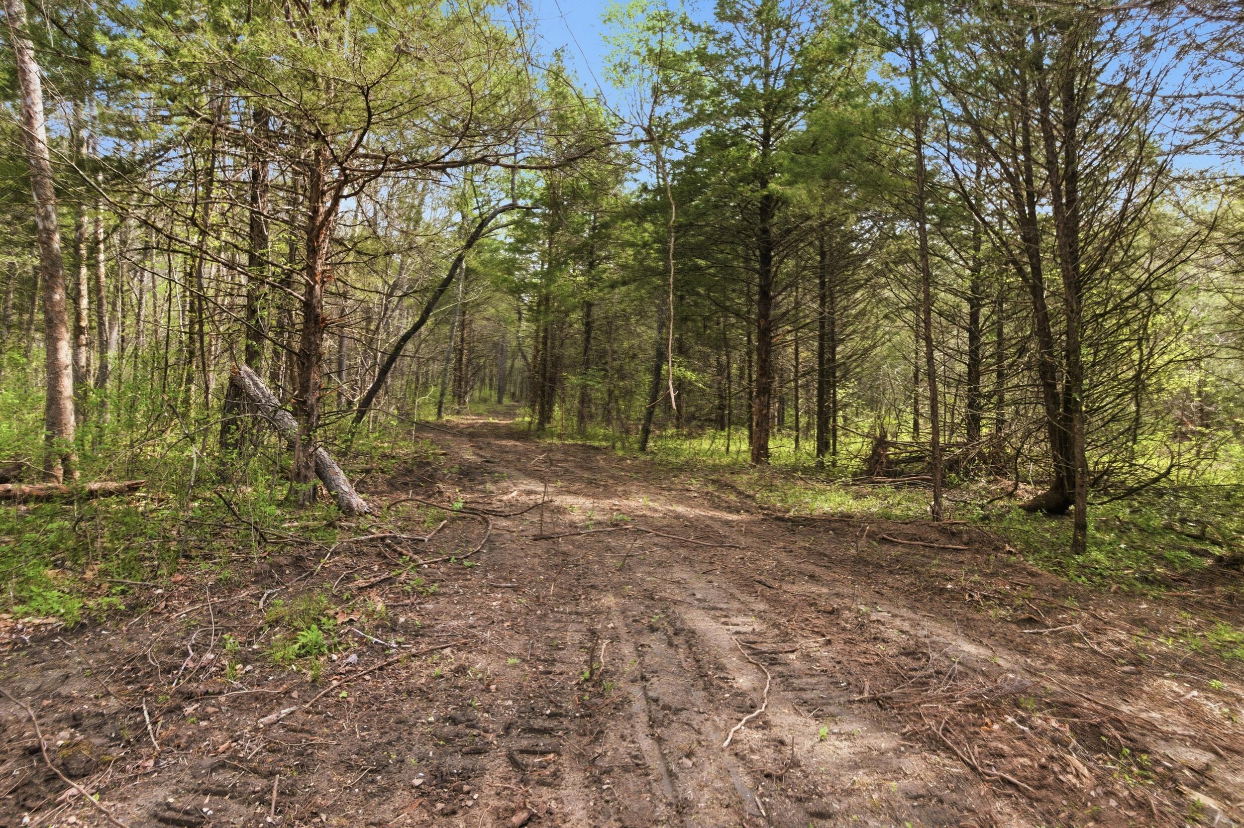 main property photo 65
