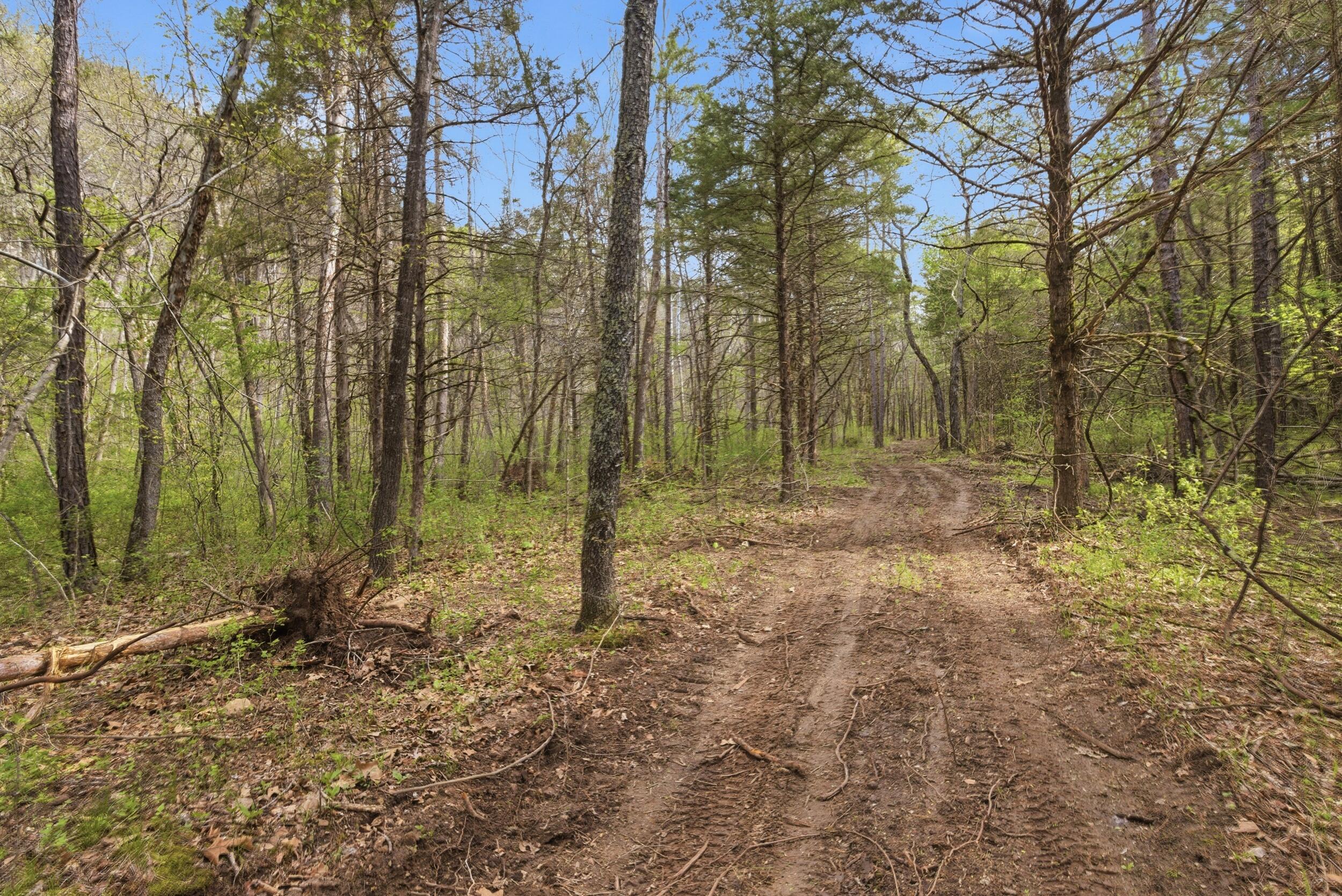 main property photo 66