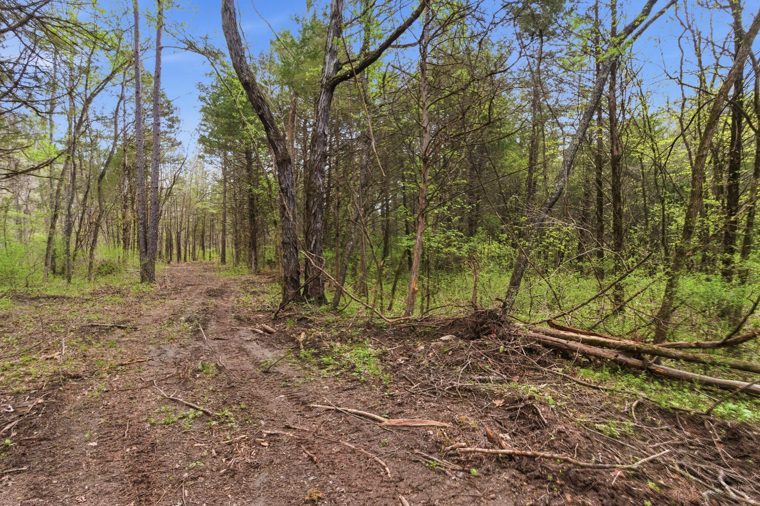 main property photo 67