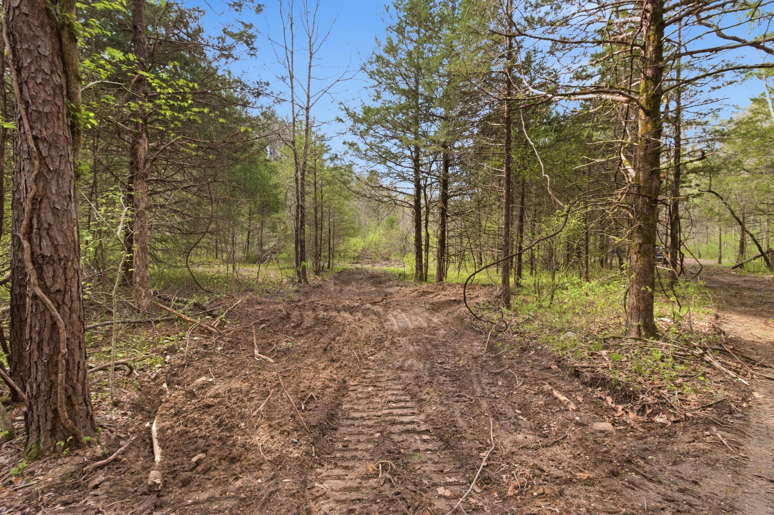 main property photo 68