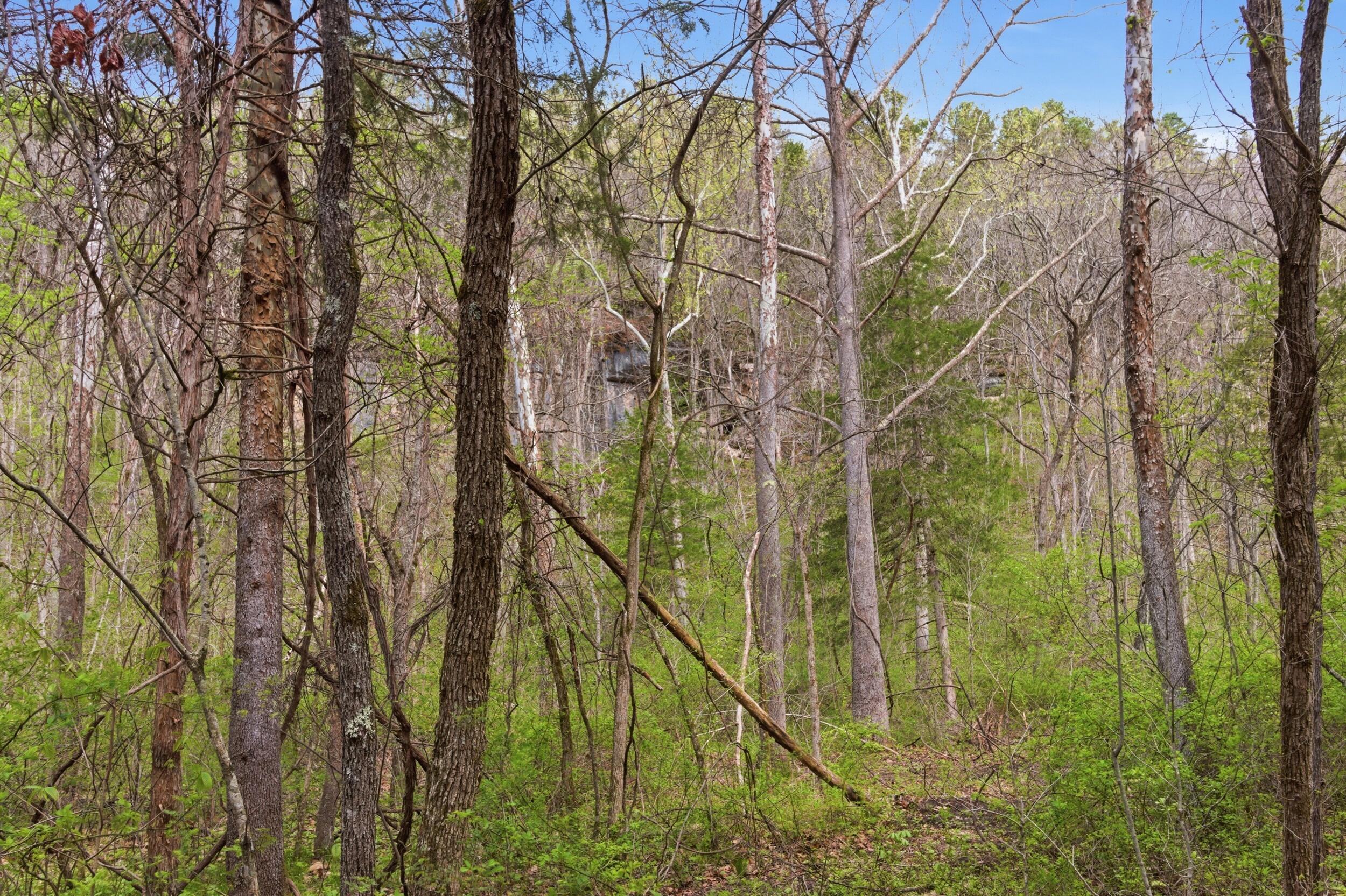 main property photo 69