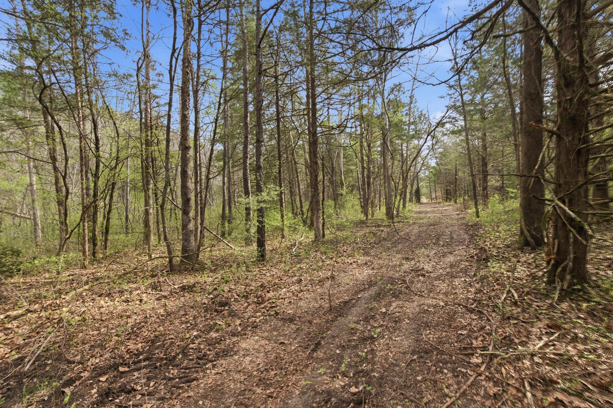 main property photo 71