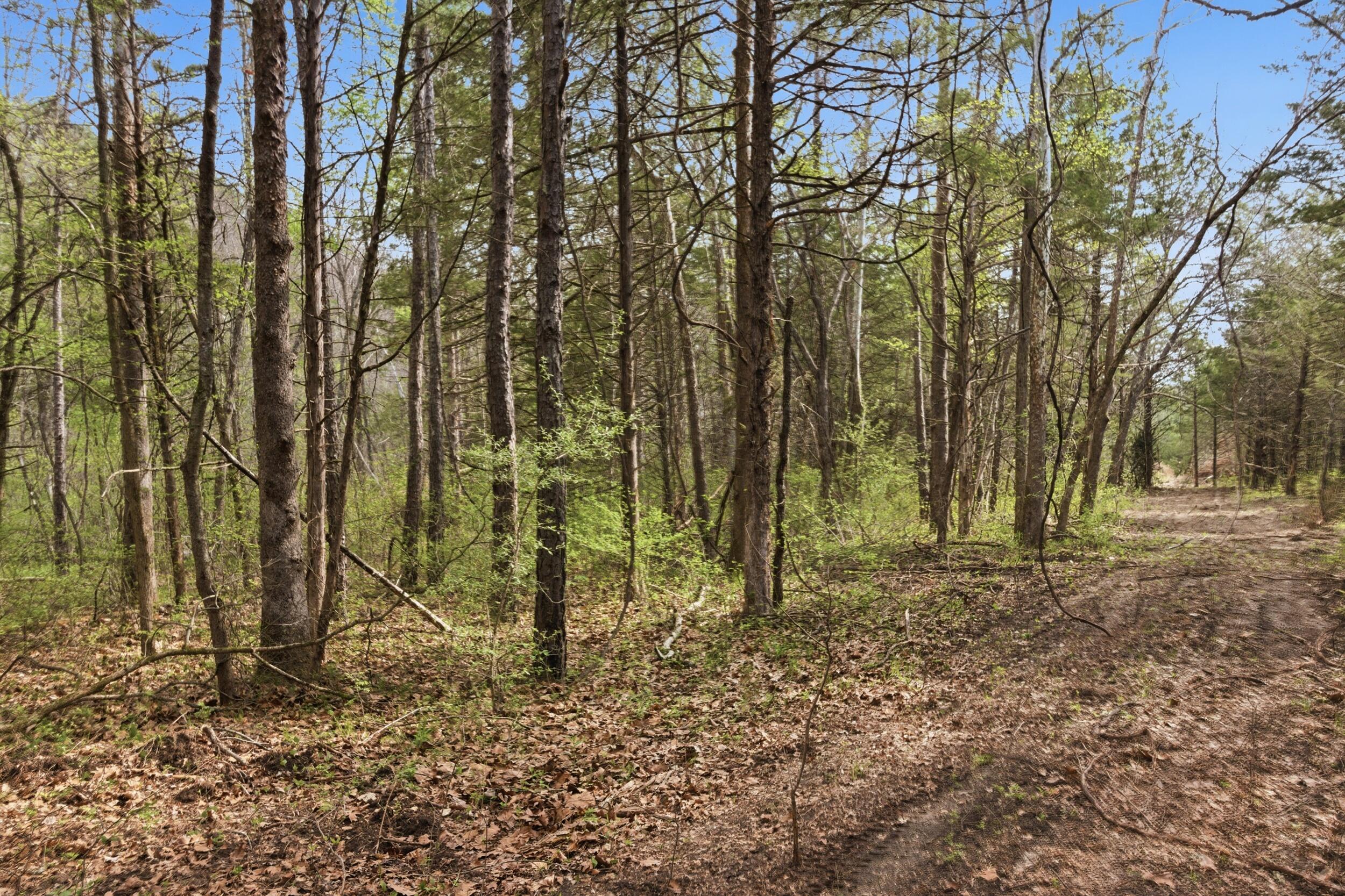 main property photo 72