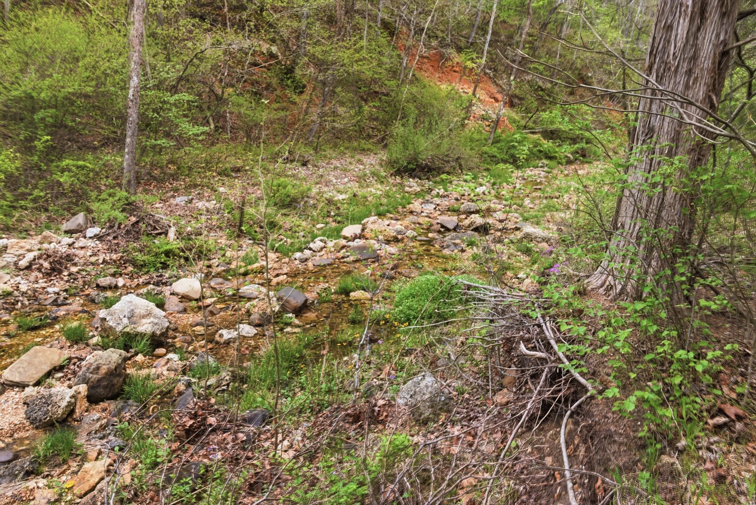 main property photo 75
