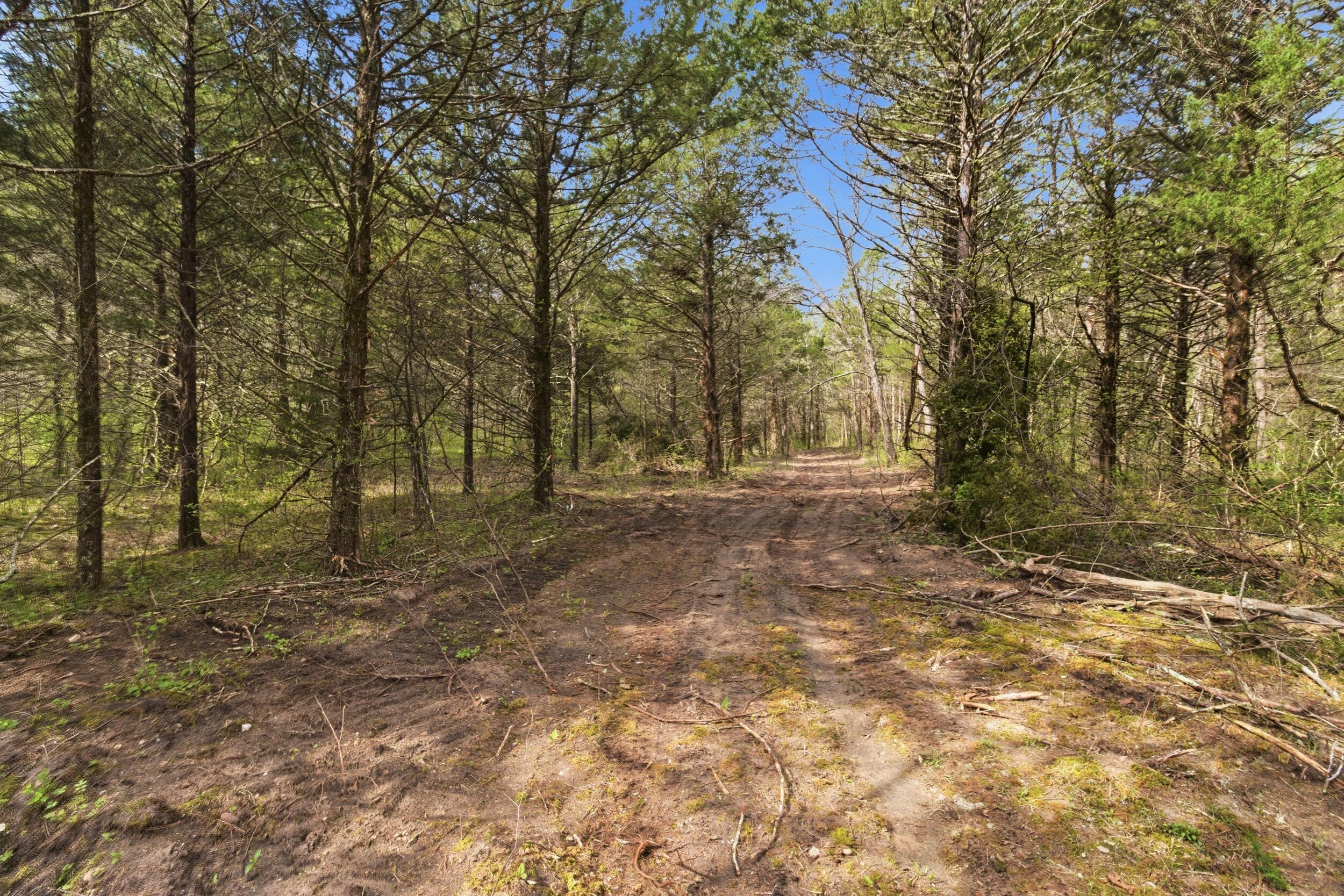 main property photo 76