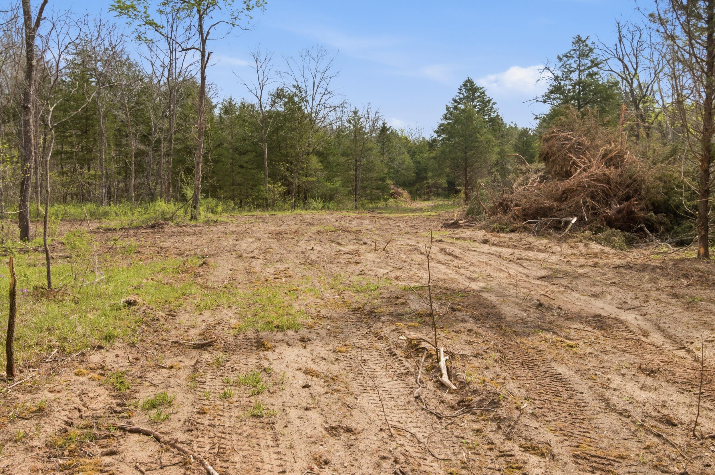 main property photo 78
