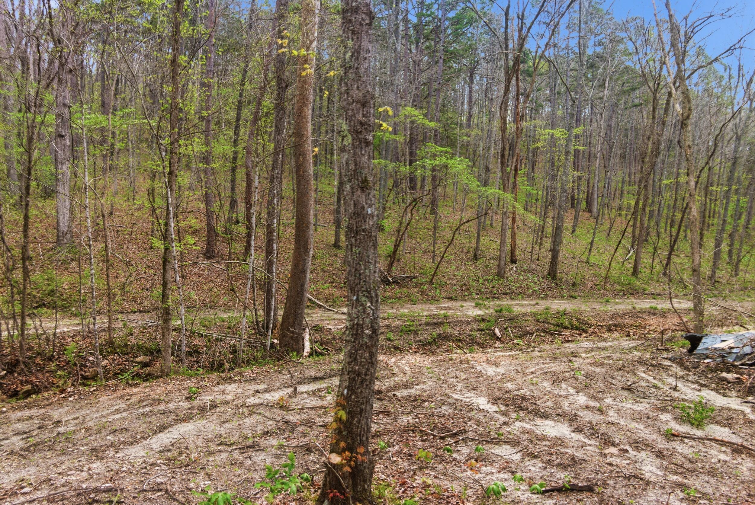 main property photo 80