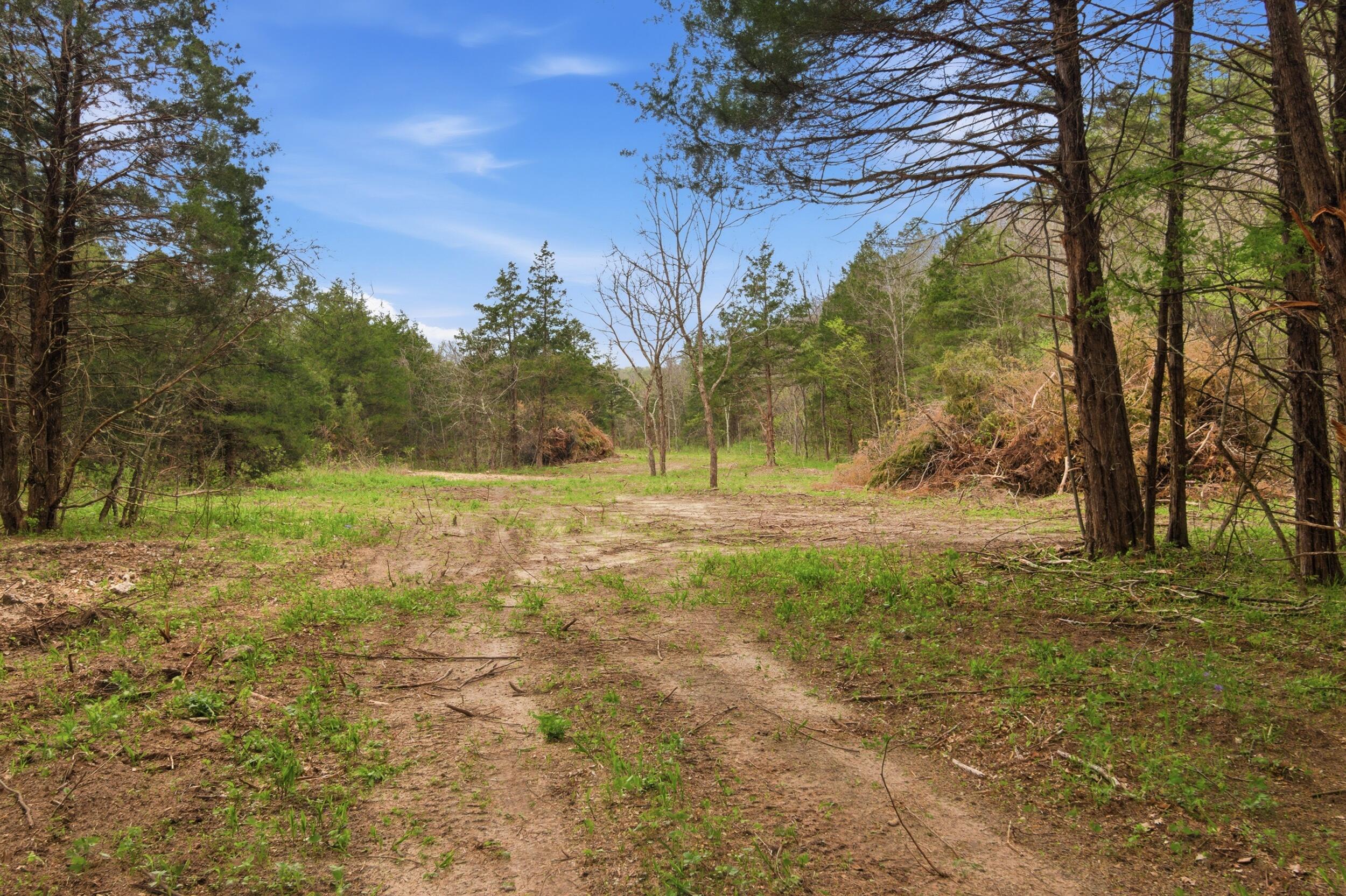 main property photo 84