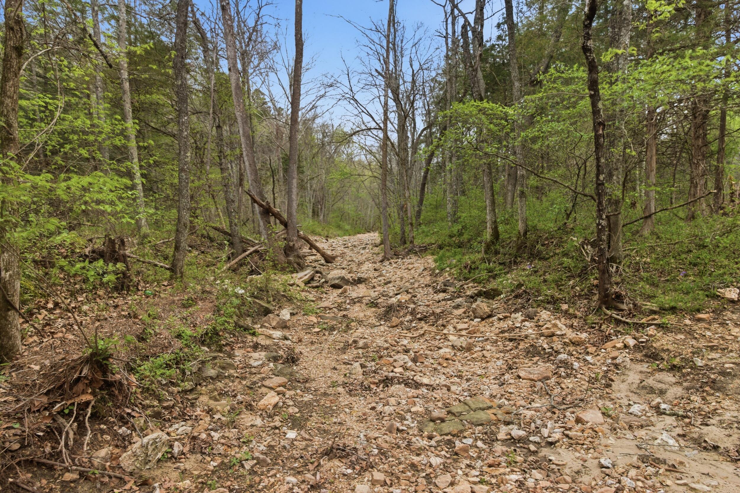 main property photo 85