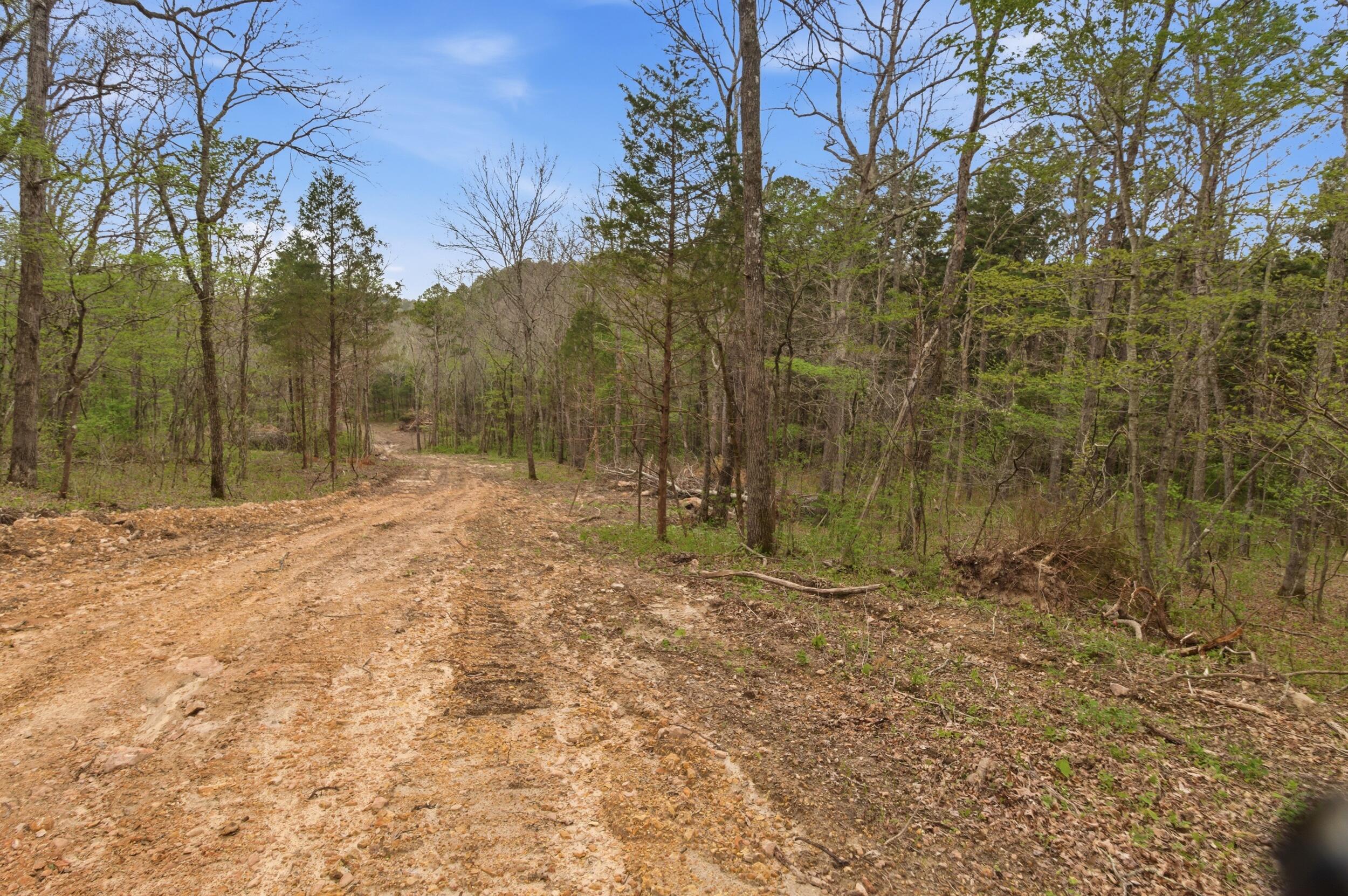 main property photo 87