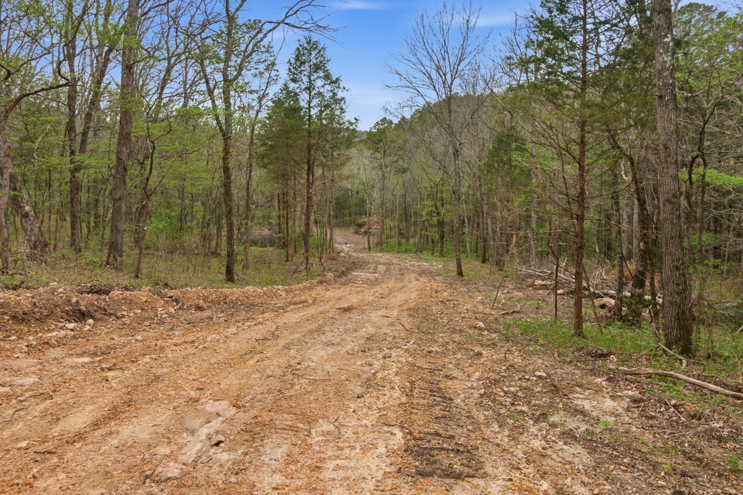 main property photo 88